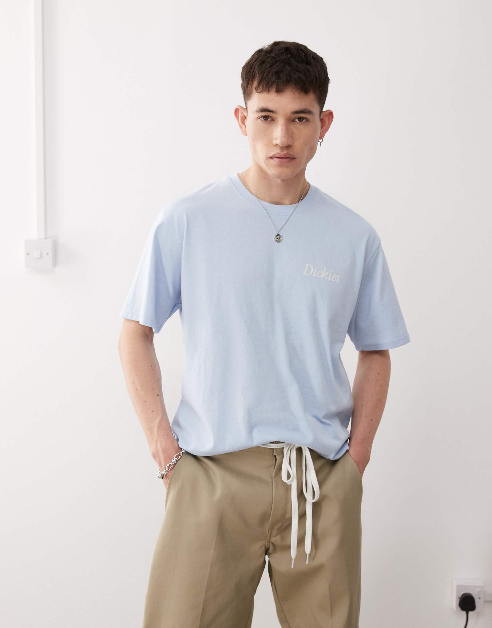 Dickies companion script t-shirt in blue 3590₽