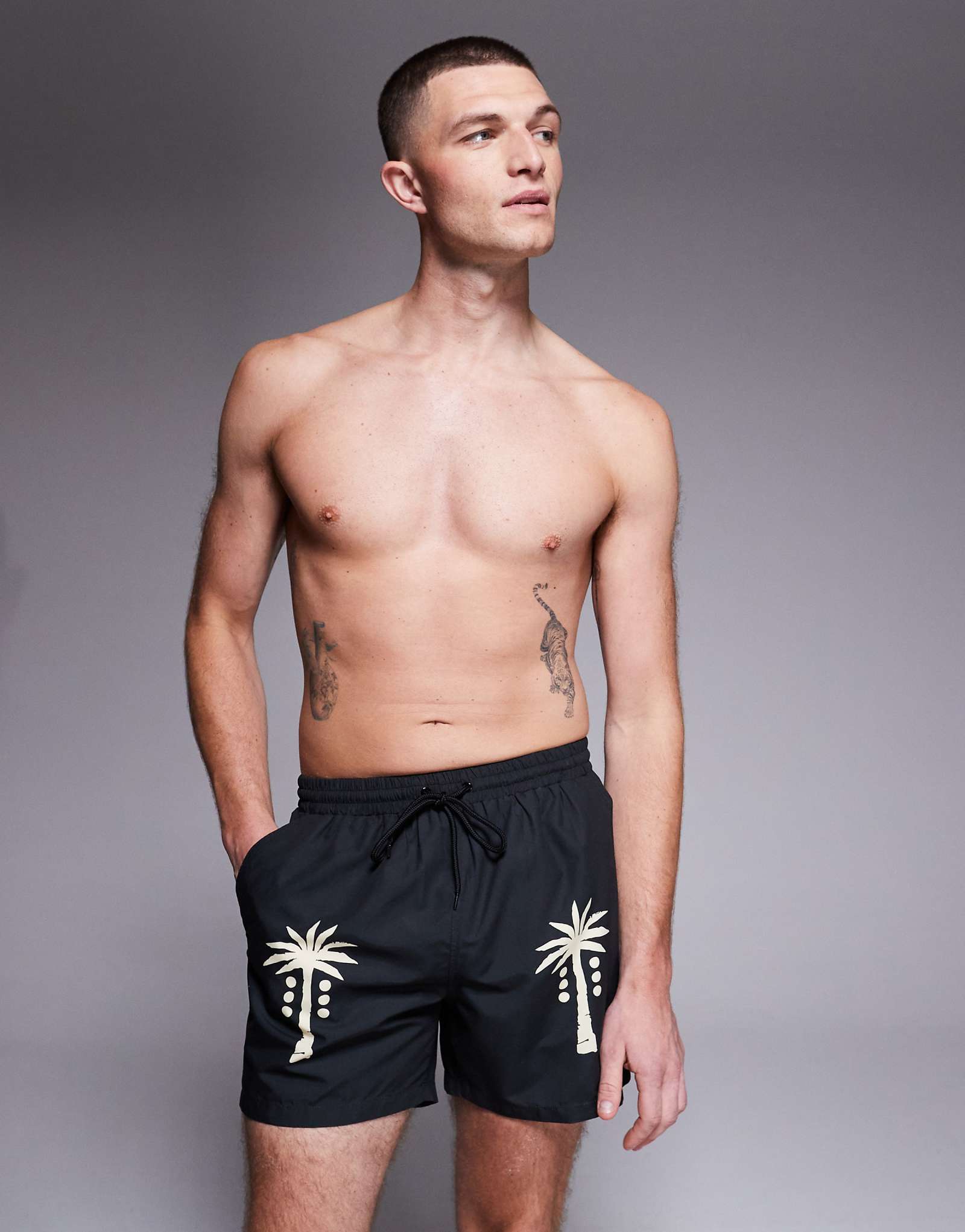 South Beach palm tree 7590₽