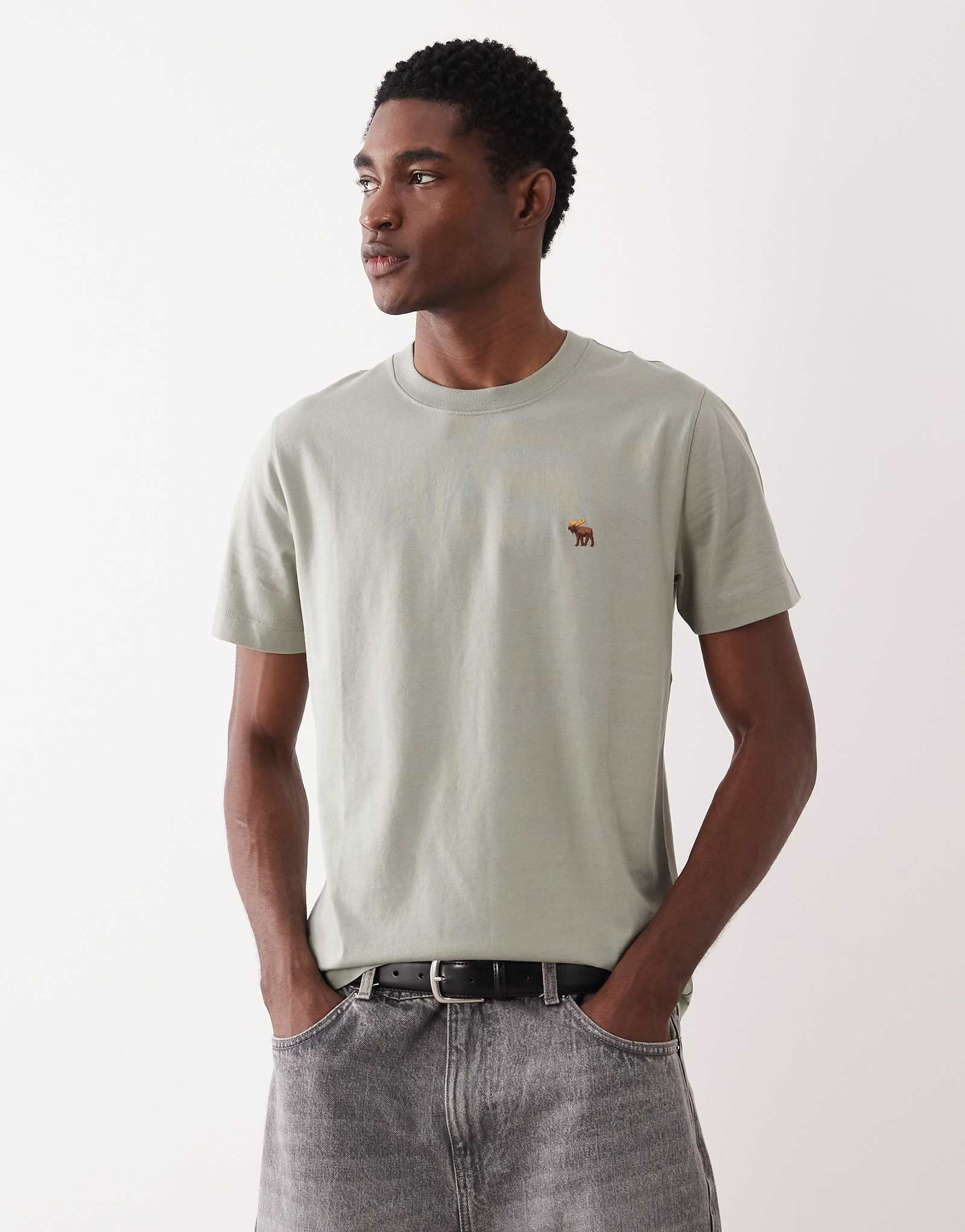 Abercrombie -amp Fitch icon logo everyday essential T-shirt in sage green mid green 3690₽