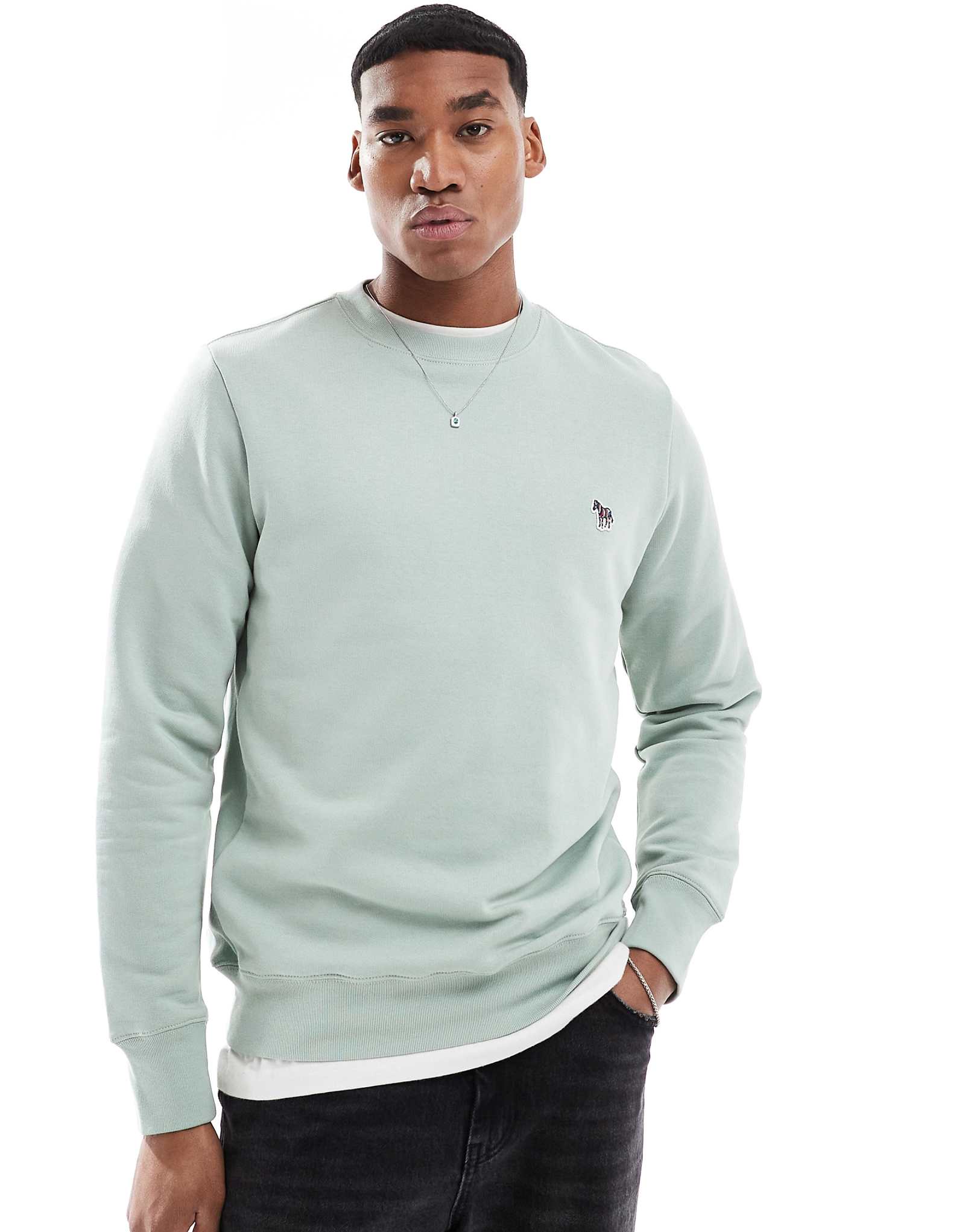 Толстовка с логотипом PS Paul Smith zebra icon светло-зеленого цвета 31390₽