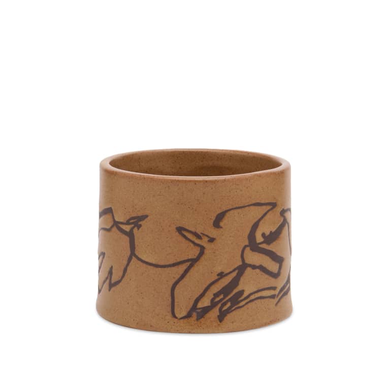 Кубок ферм ЛАЙВИНГ Вуэло