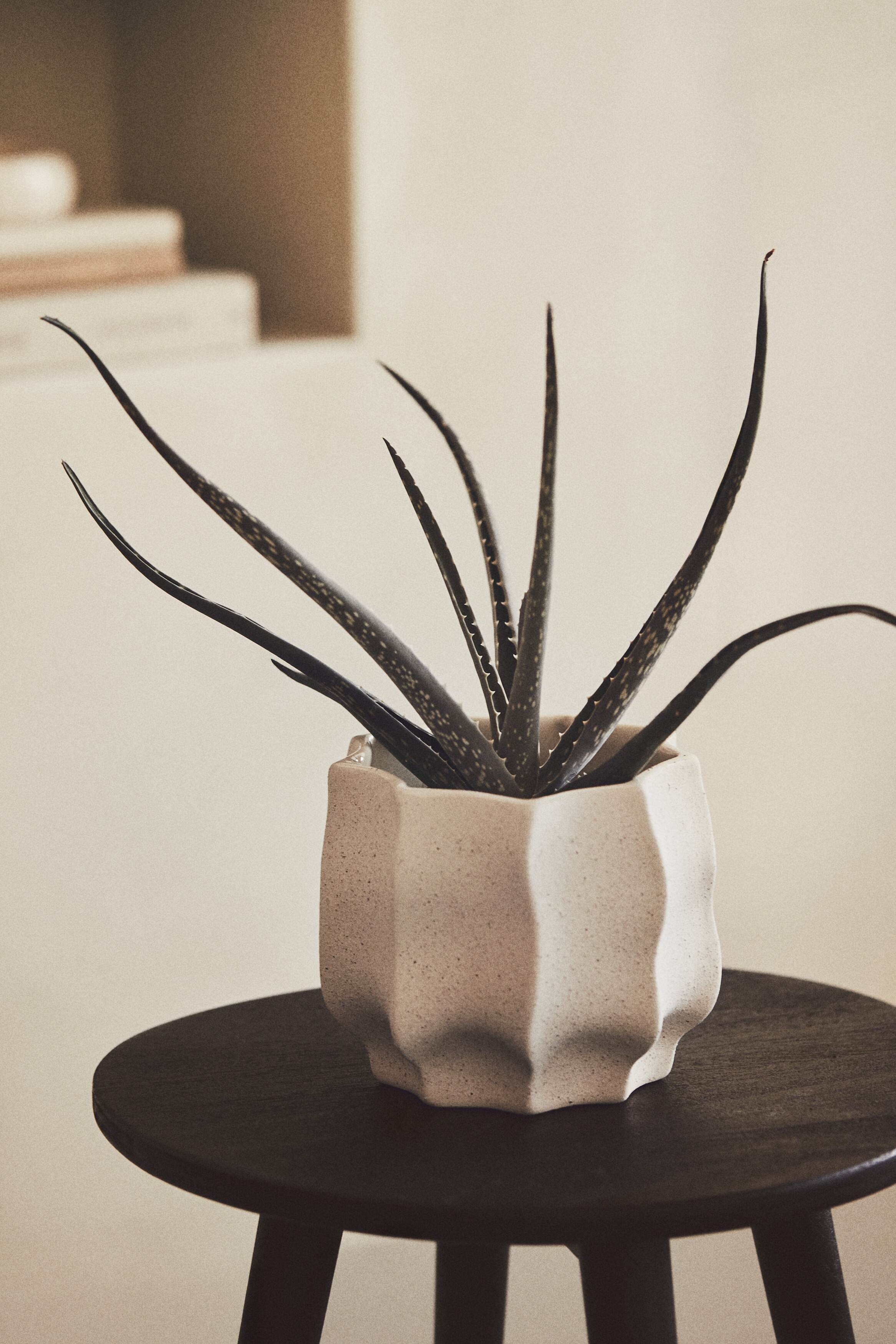 Керамический горшок для растений H-M 5690₽