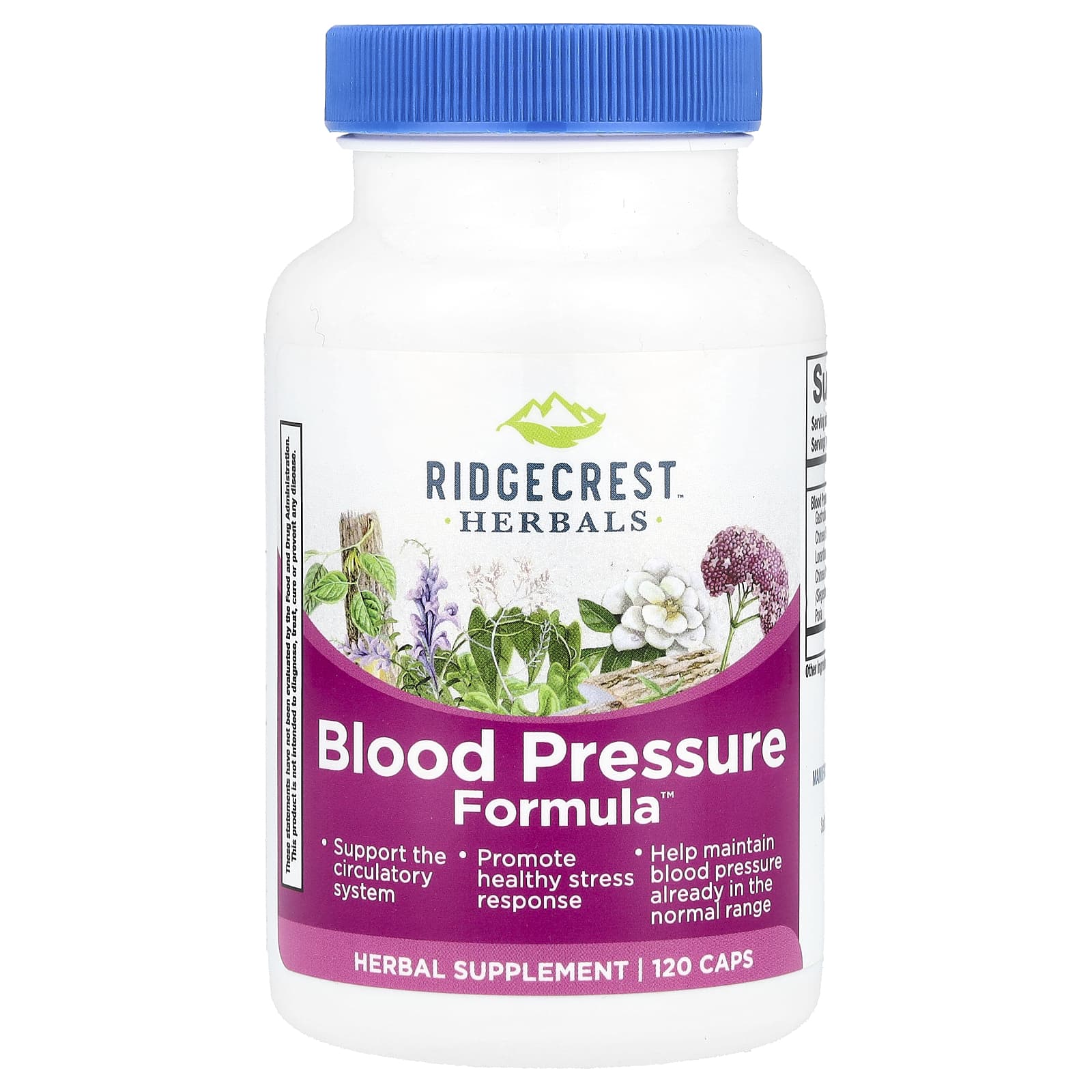 RidgeCrest Herbals, Blood Pressure Formula, 120 веганских капсул