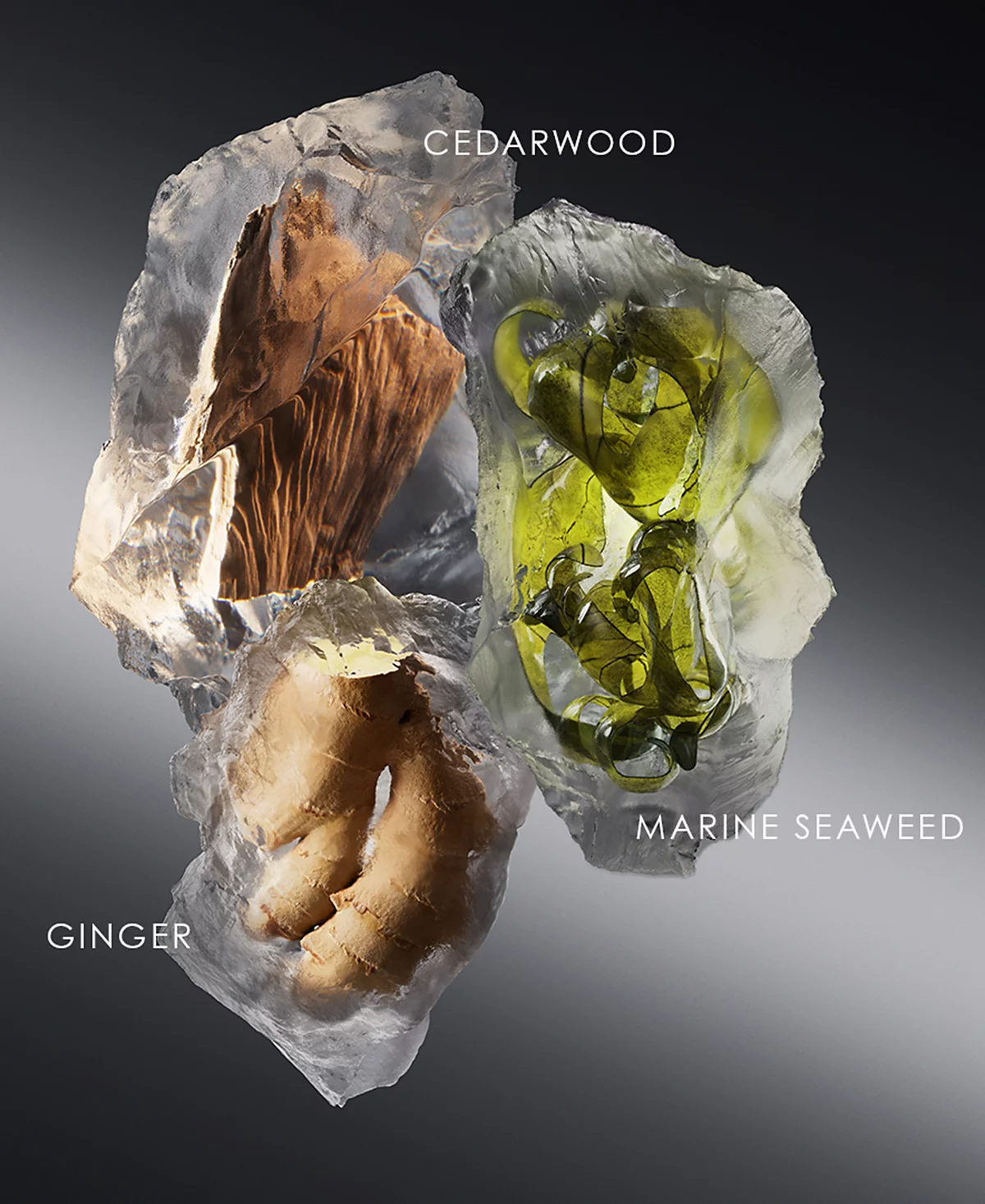 Мужской парфюм Narciso Rodriguez 3 шт Подарочный набор парфюмированной воды For Him Bleu Noir 28190₽