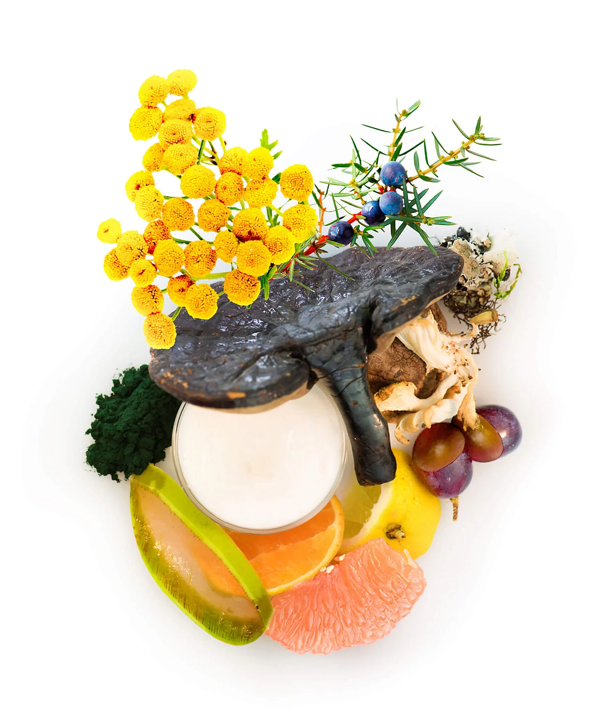 Red Flower Lymphatic Phytopower Sea Cleanser - Masque, 8.8 oz.