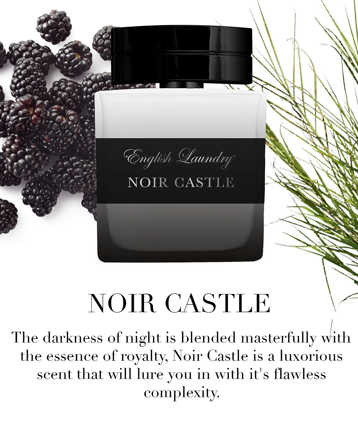 Noir Castle 34 oz 16190₽