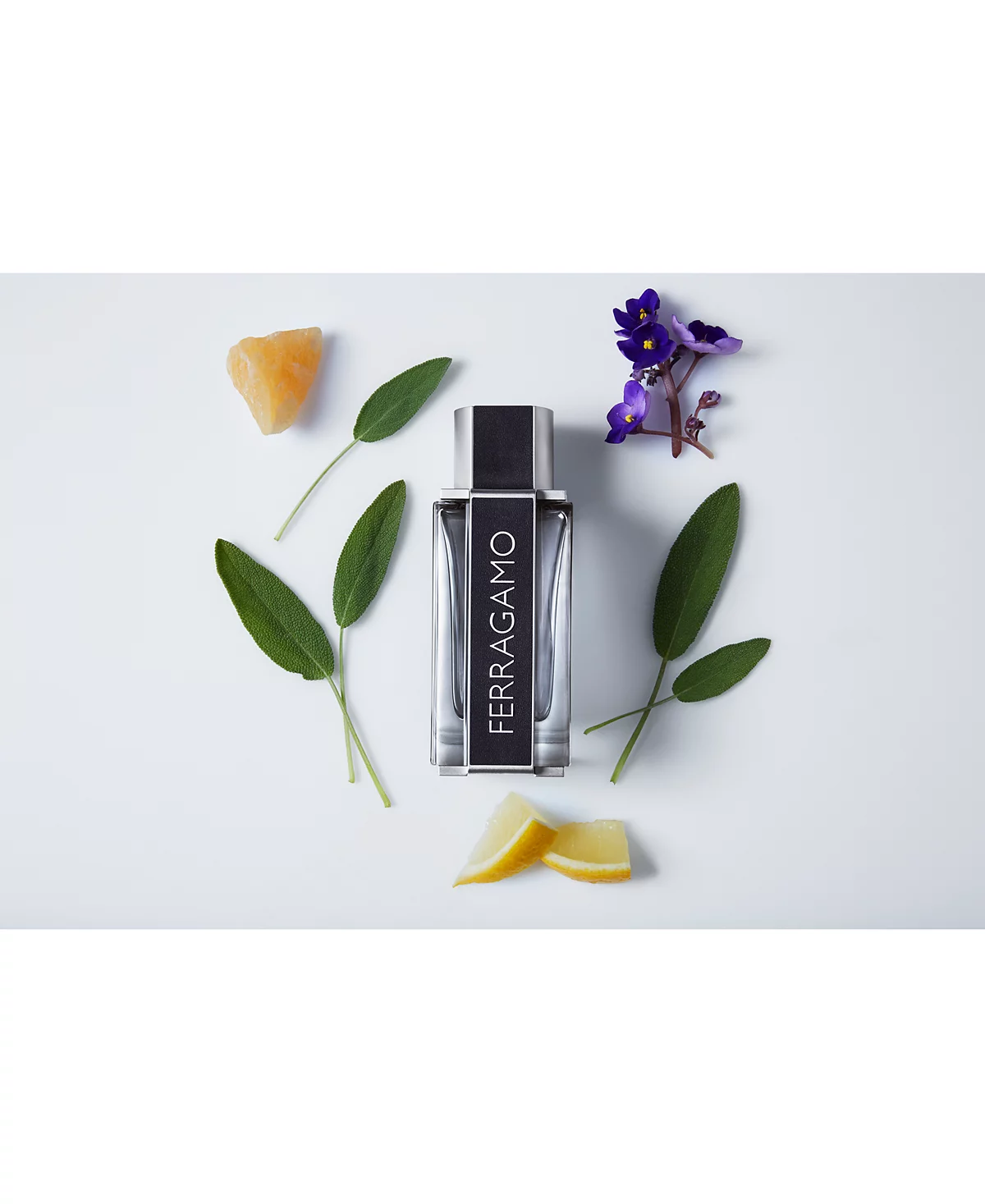 Salvatore Ferragamo Mens Ferragamo Eau de Toilette Spray 34-oz 19790₽