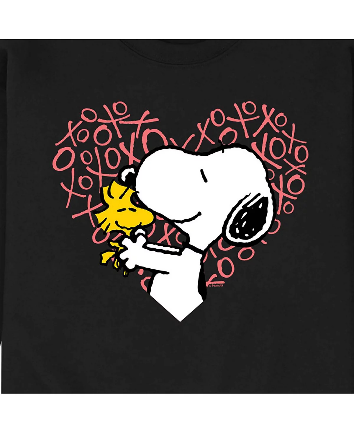 Мужская флисовая толстовка AIRWAVES Peanuts с длинным рукавом из плотного флиса 8590₽