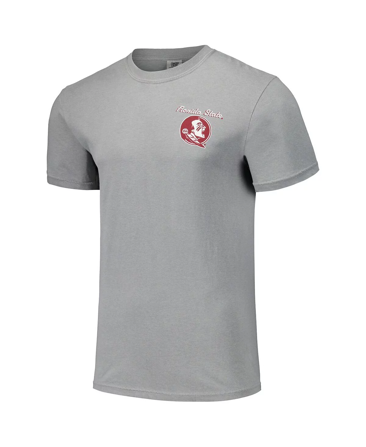 Image One Men's and Women's Gray Florida State Seminoles Hyper Local Campus Drawing T-Shirt