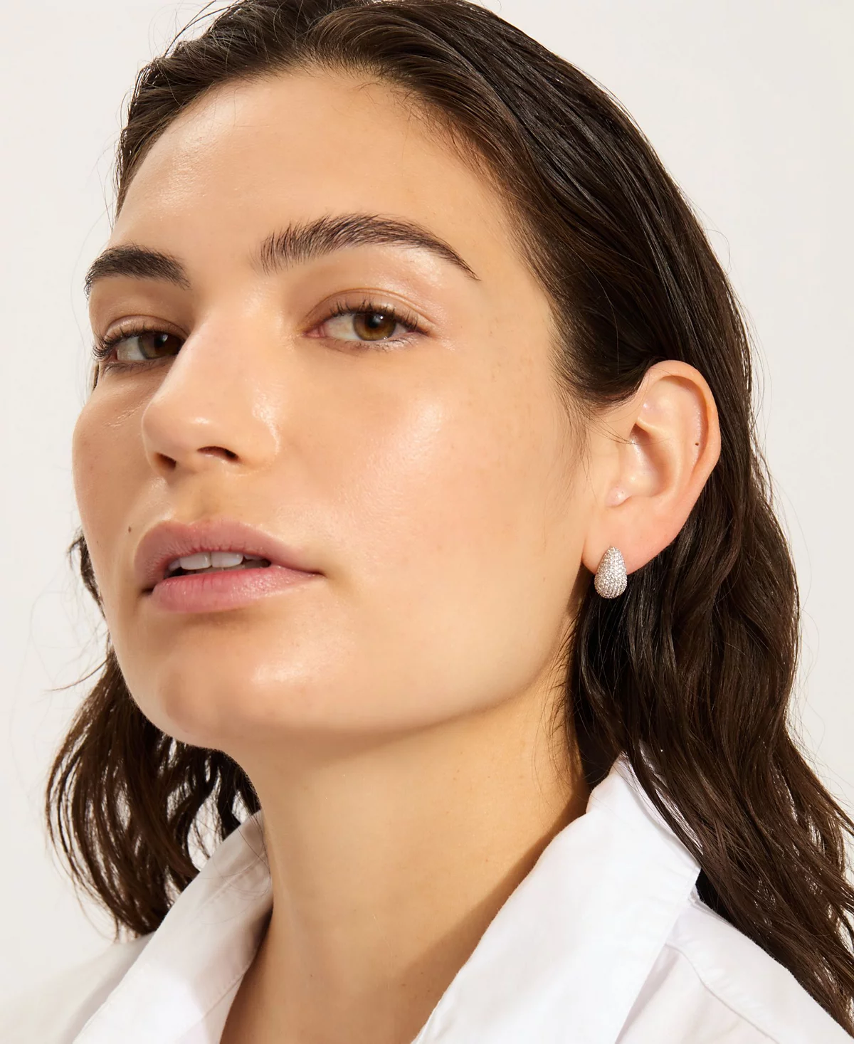 ADORNIA Silver Crystal Teardrop Pave Earrings 4490₽