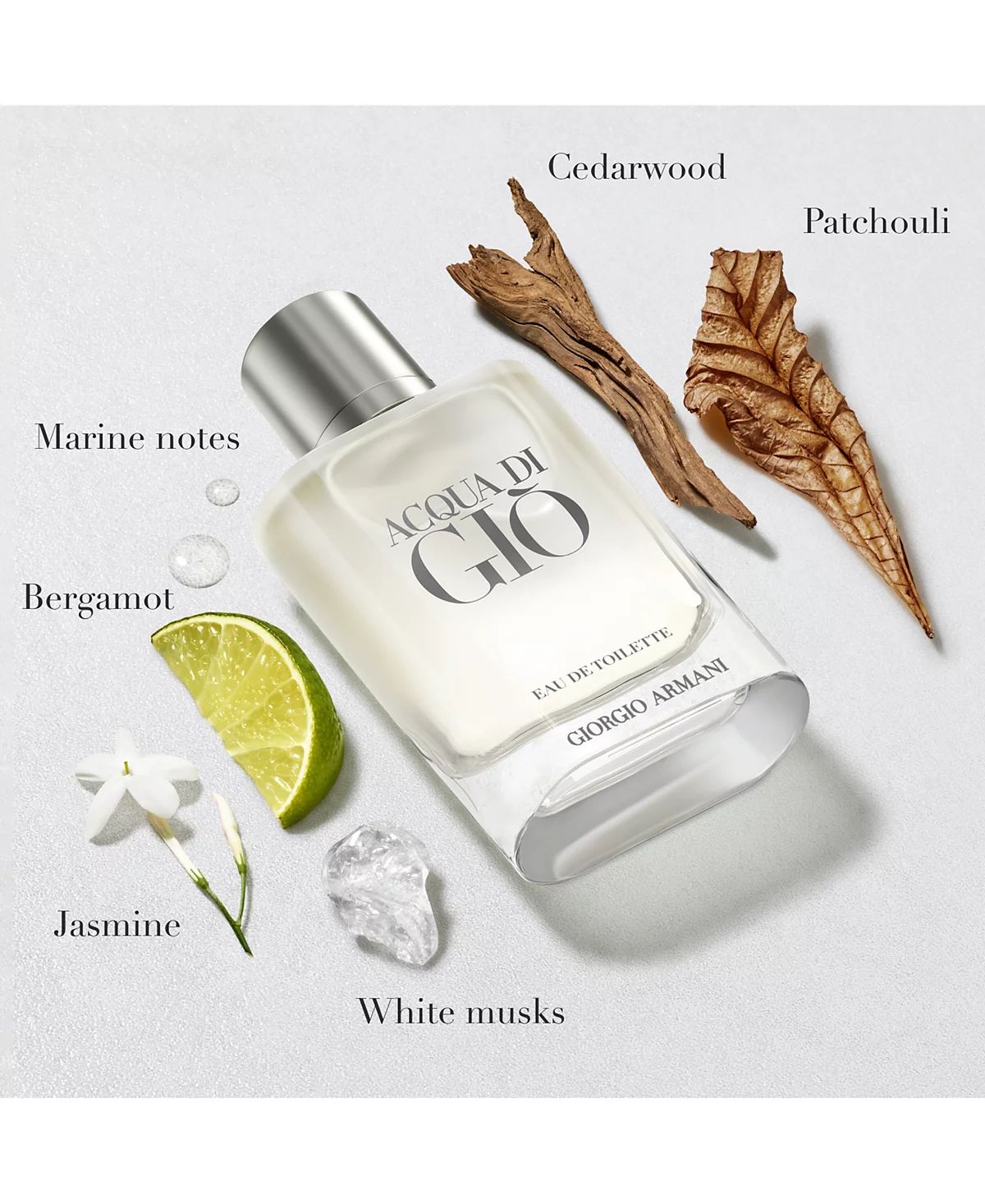 Giorgio Armani Mens 2-Pc Acqua di Gi Eau de Toilette Gift Set 18890₽