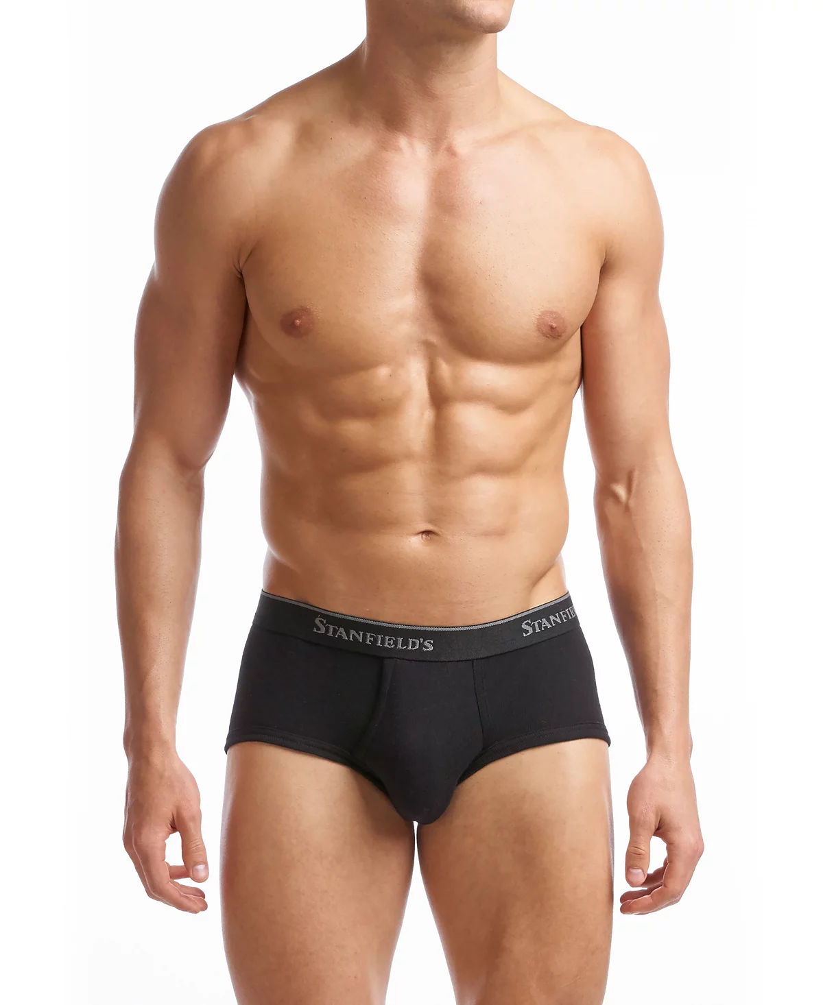 Stanfield's Men's Supreme Cotton Blend Regular Rise Briefs, Pack of 2