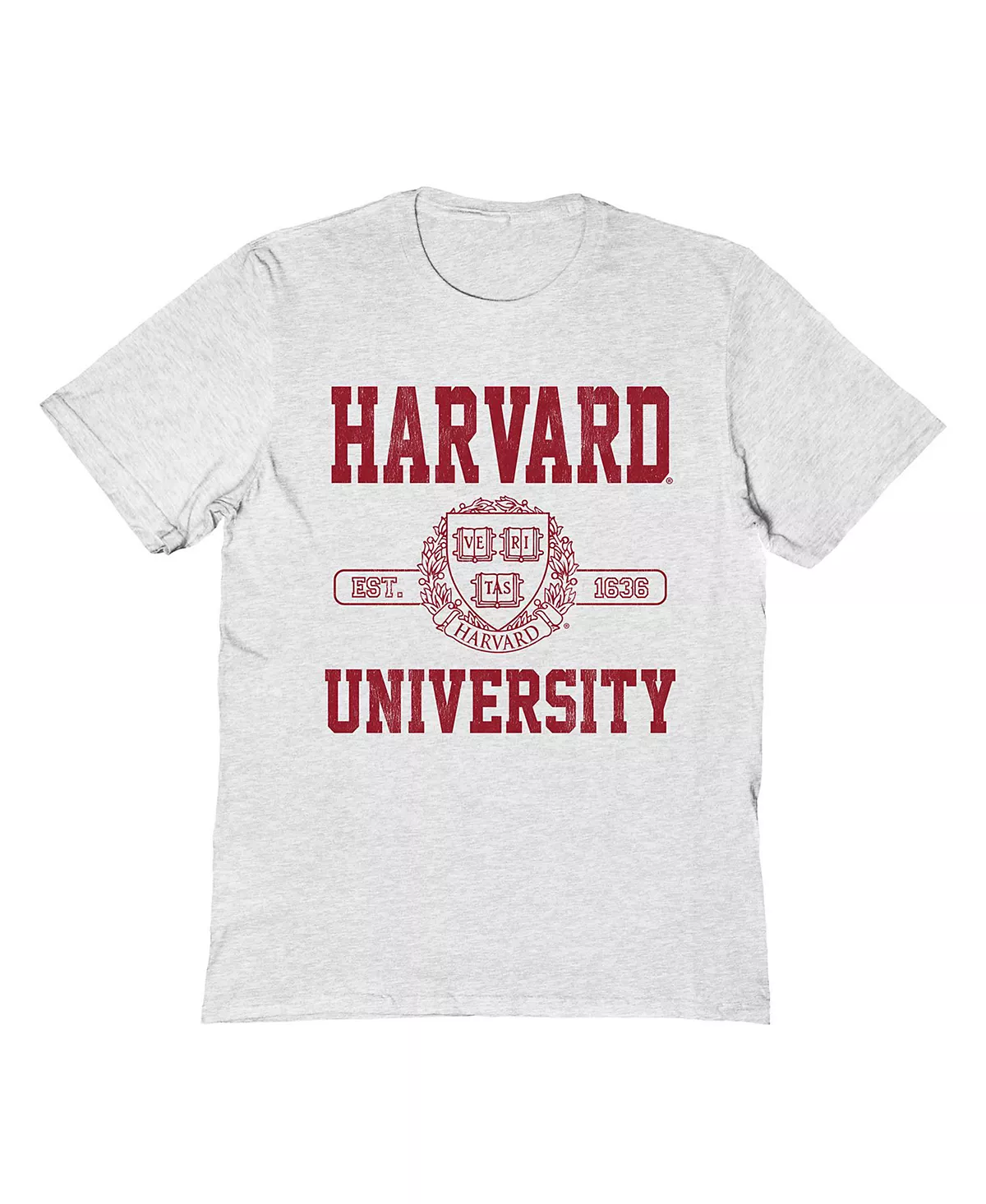 Мужская спортивная футболка с графическим рисунком 5290₽