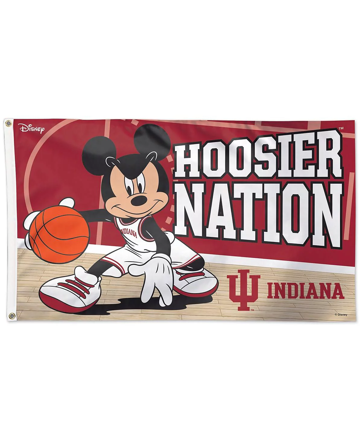 Wincraft Indiana Hoosiers 3 x 5 Disney One-Sided Flag 6890₽