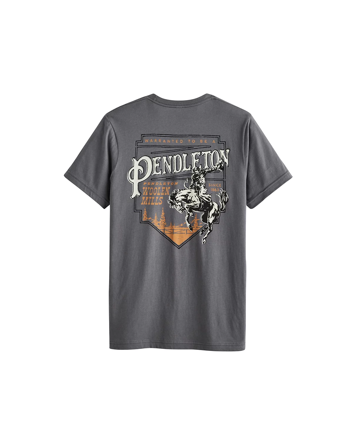 Мужская футболка Pendleton Heritage с графикой 3890₽