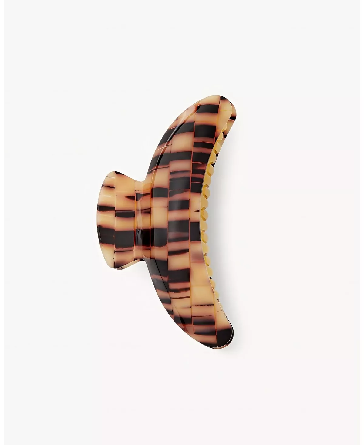 Гигантский коготь- фамильная реликвия