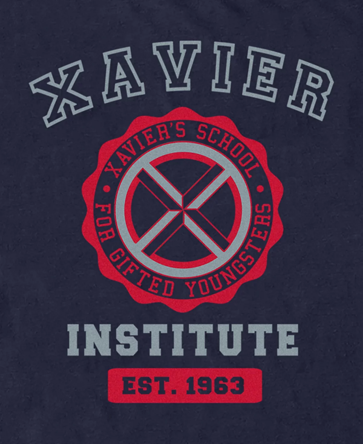 Мужская футболка с коротким рукавом Fifth Sun от Marvel Xavier Institute 3290₽