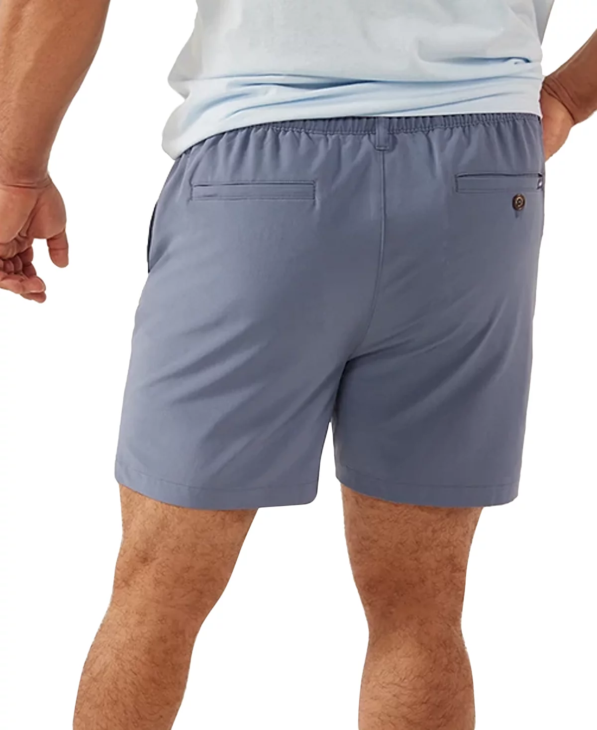 Мужские фирменные шорты Chubbies Ice Caps от Chubbies 12290₽