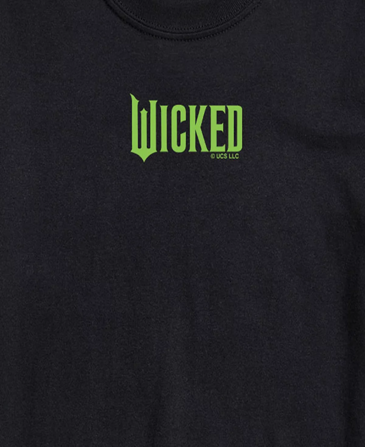 Мужская футболка с коротким рукавом AIRWAVES Wicked Green с логотипом Wicked Green 4790₽
