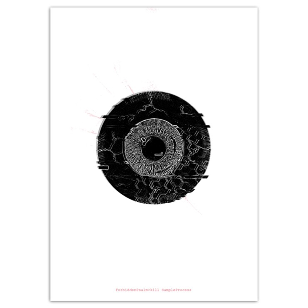 Запрещенный псалом: примерный процесс уничтожения - Книга правил (в твердом переплете)