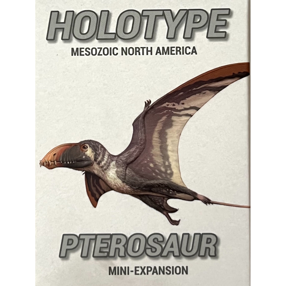 Голотип: Птерозавр в уменьшенном виде (просвет)