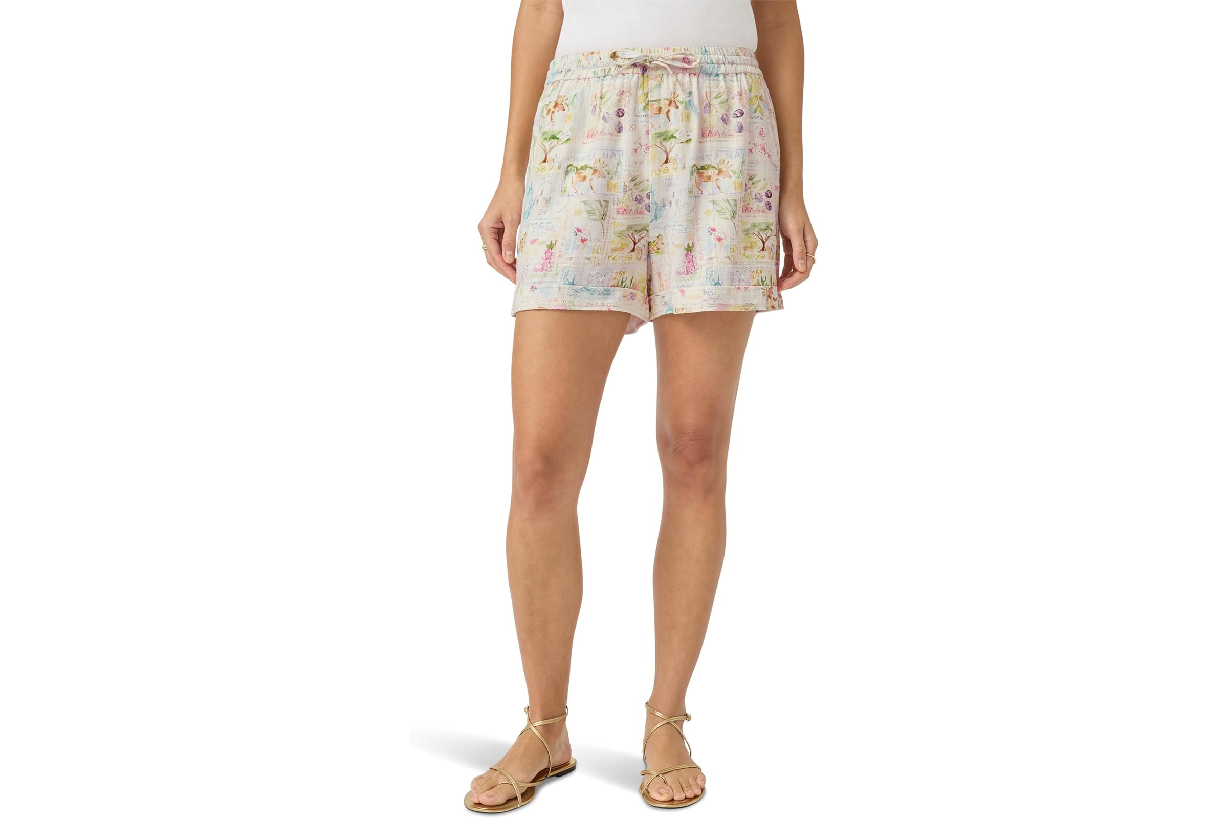 Шорты Splendid Coastal Postcard Short 14490₽