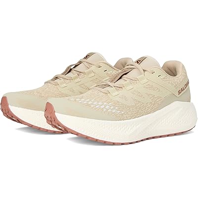 Мужские кроссовки Salomon Aero Glide 3 Grvl