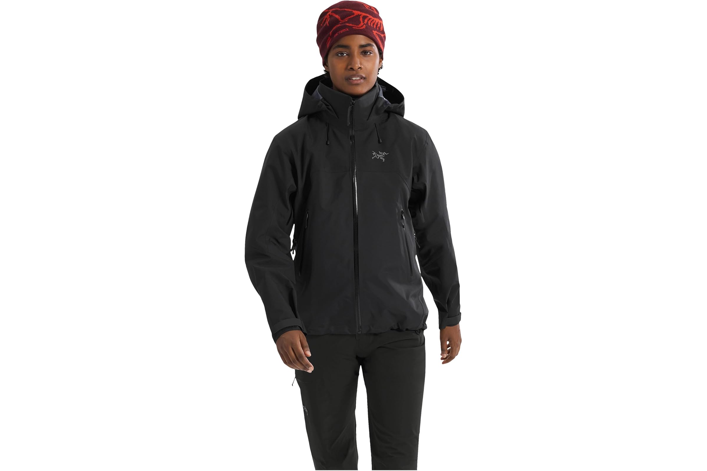 Arcteryx Beta AR Jacket