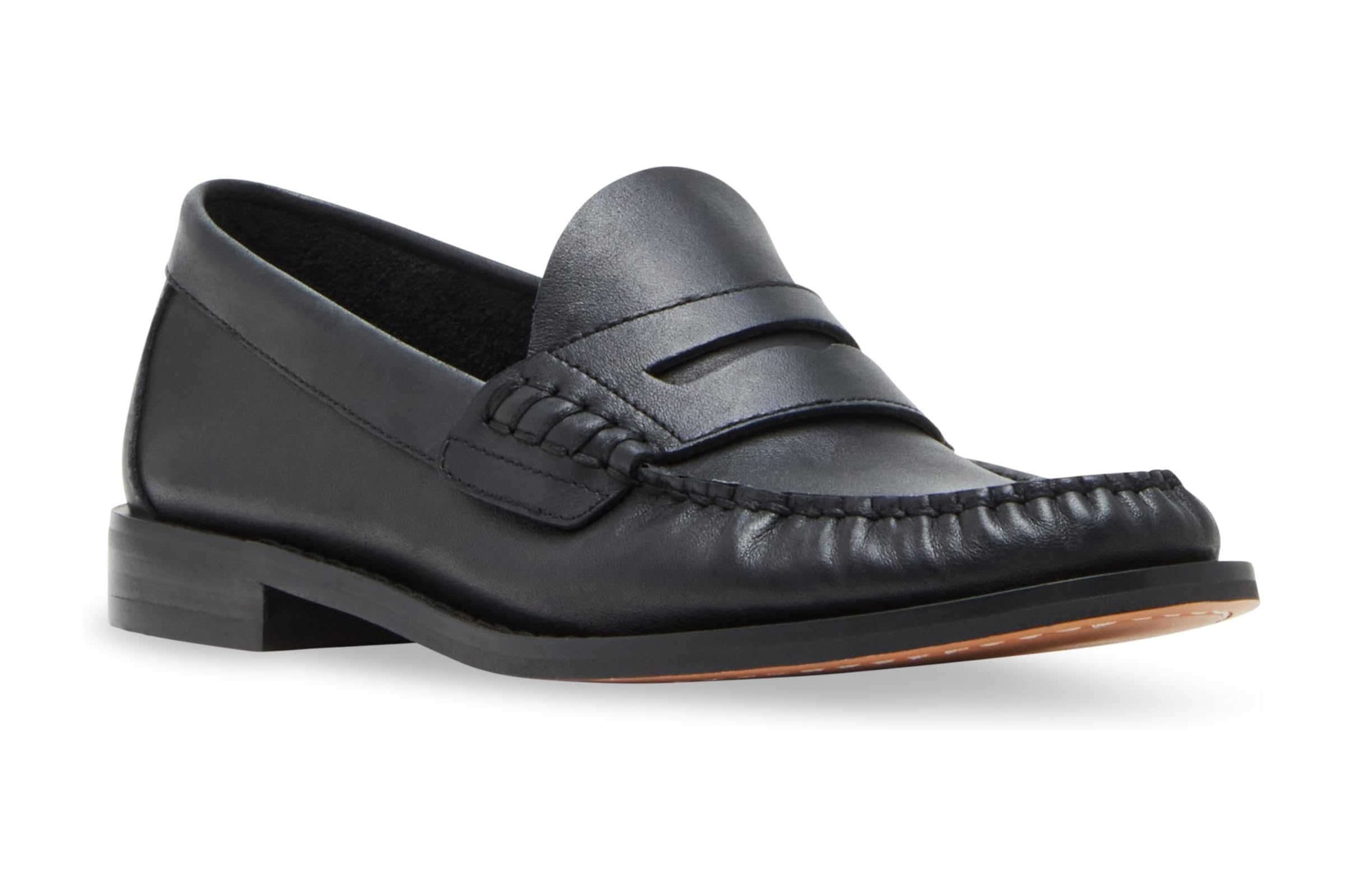 Steve Madden Kingston