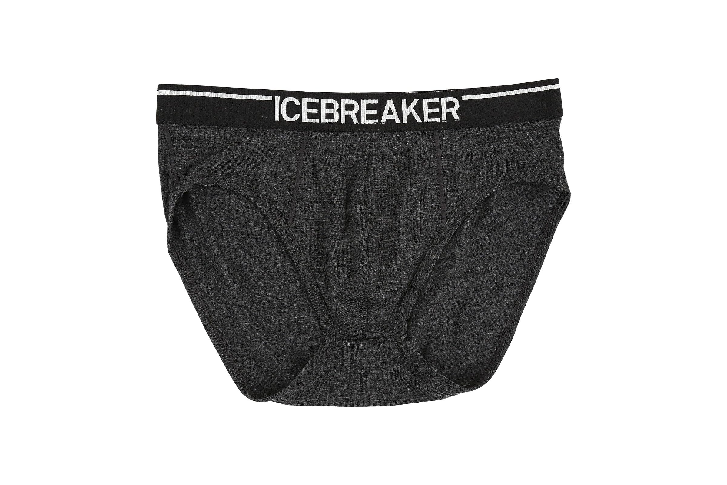 Icebreaker Anatomica Brief