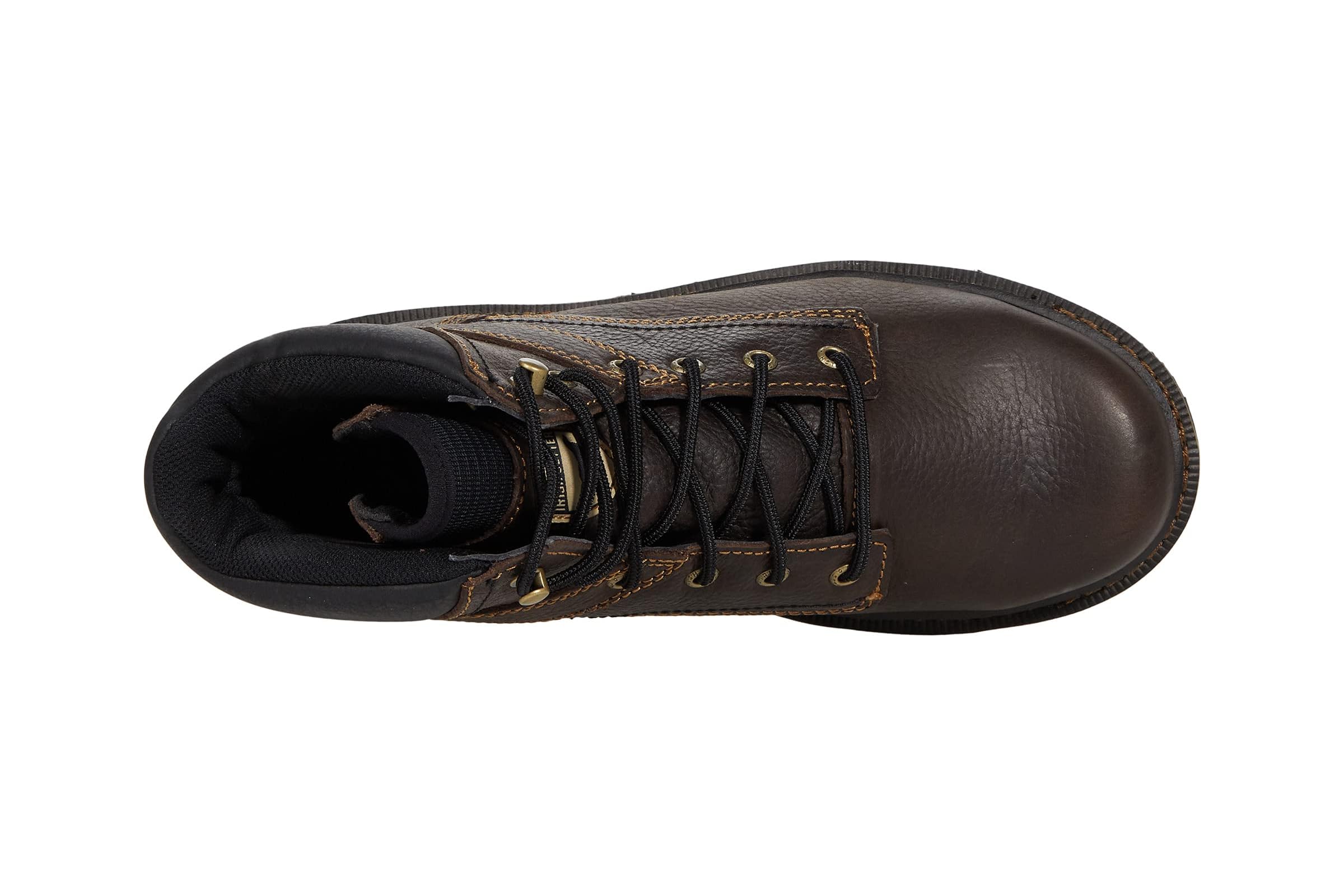 Irish Setter Kittson 6