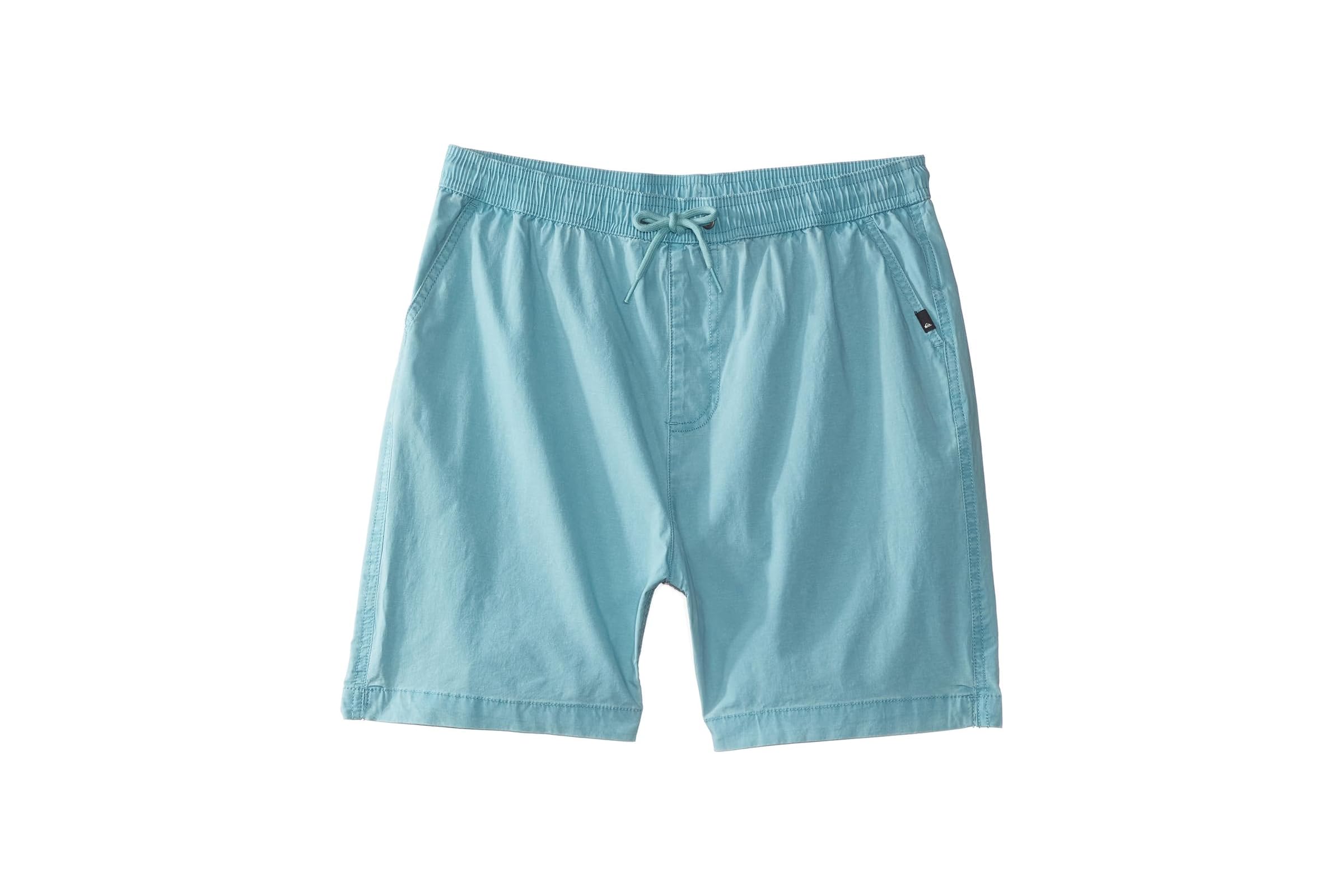 Quiksilver Kids Taxer Walkshorts (Big Kids)