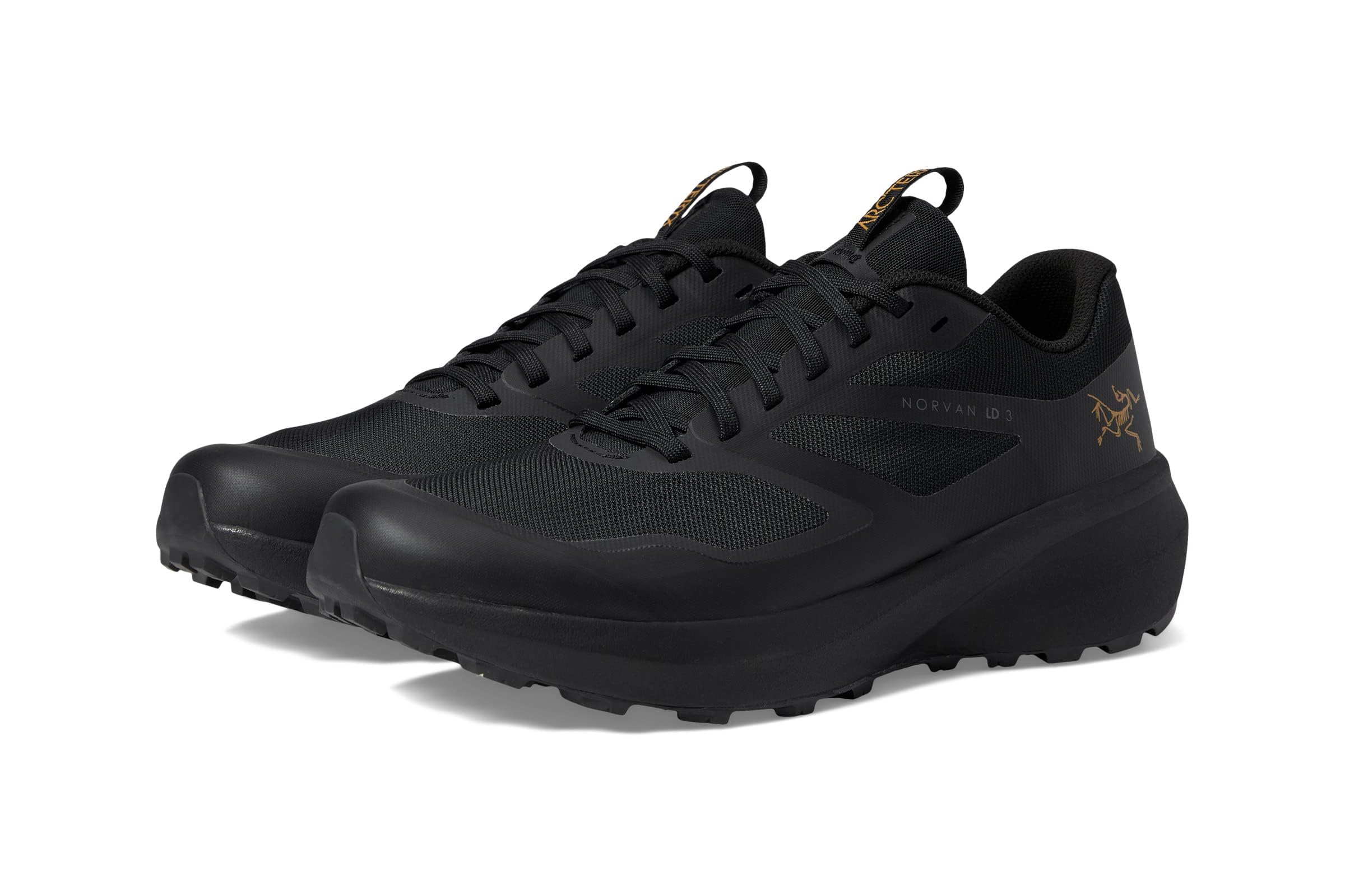 Мужские кроссовки Arcteryx Norvan LD 3