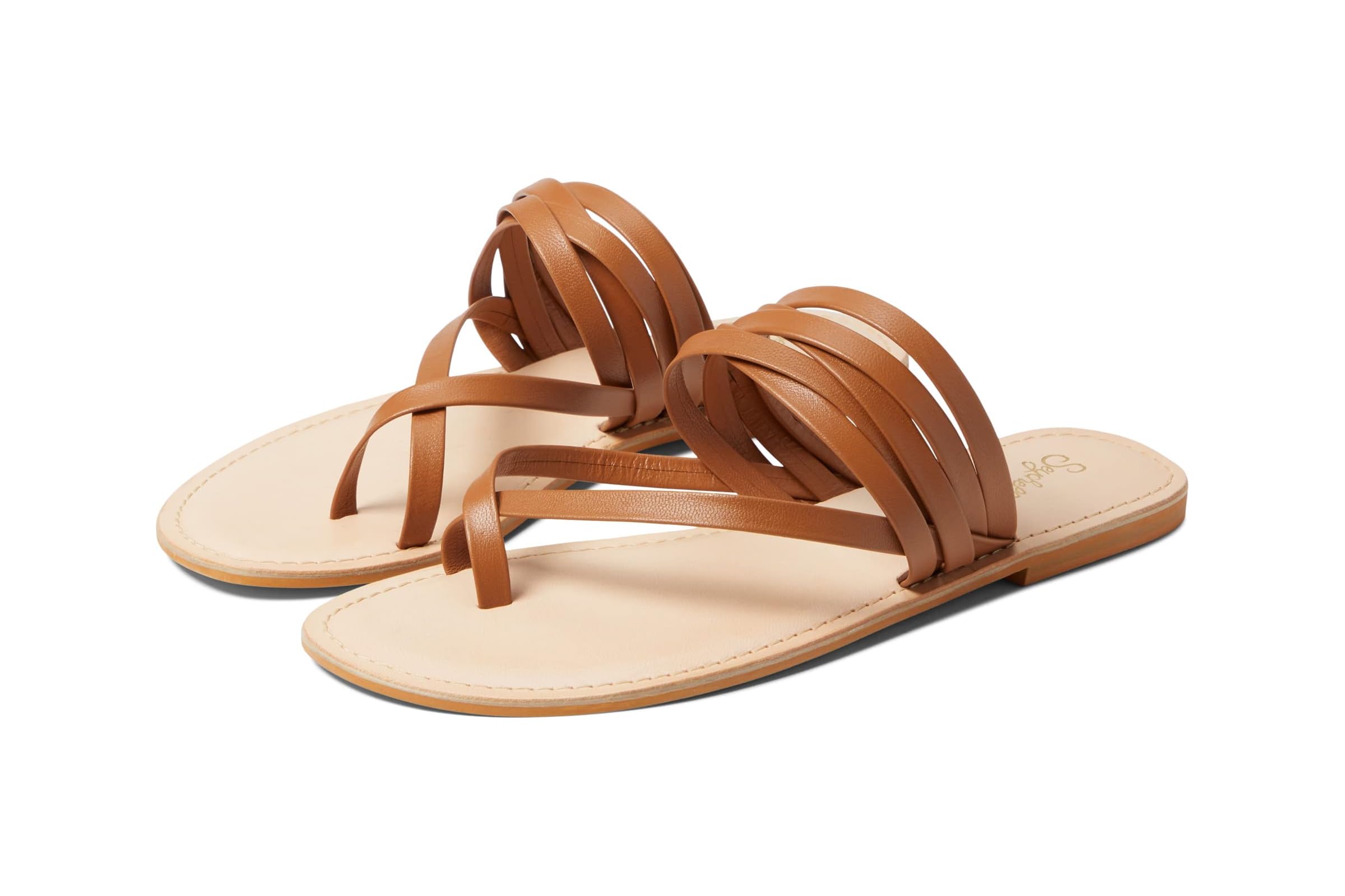 Seychelles Live A Little