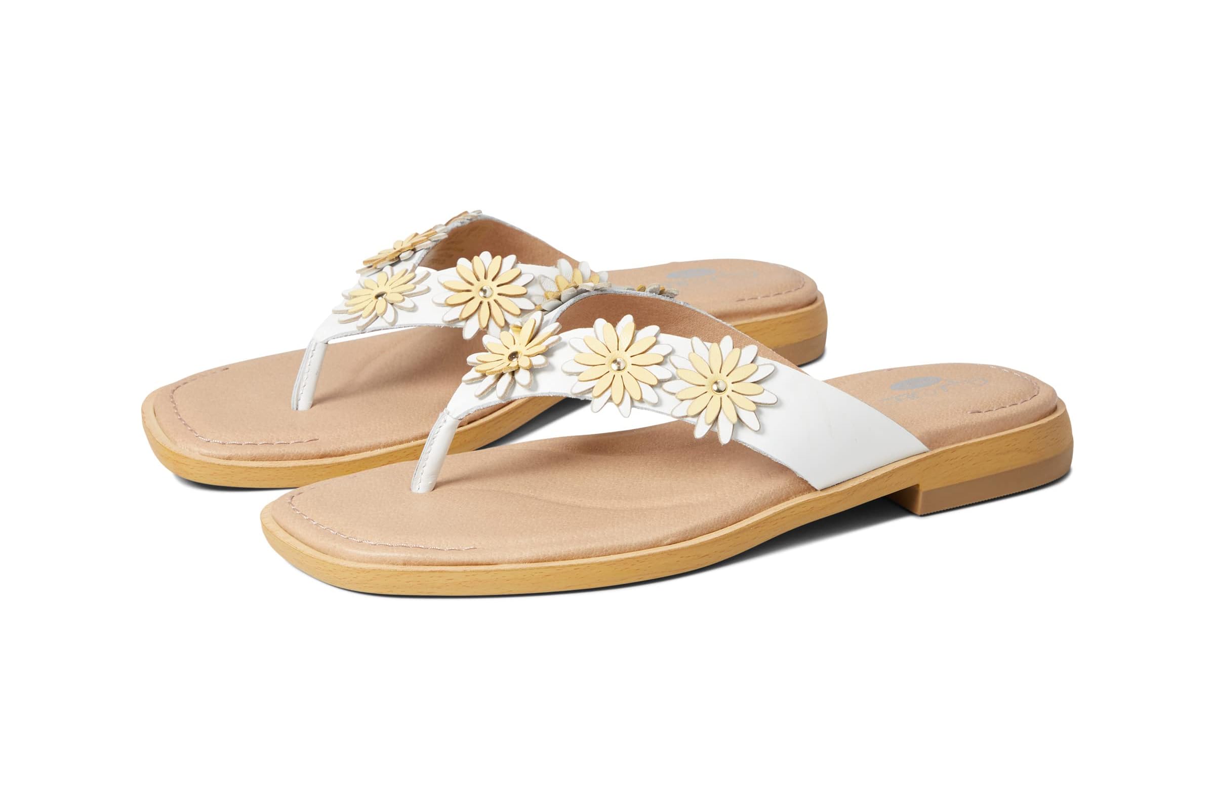 Dr. Scholls Marigold
