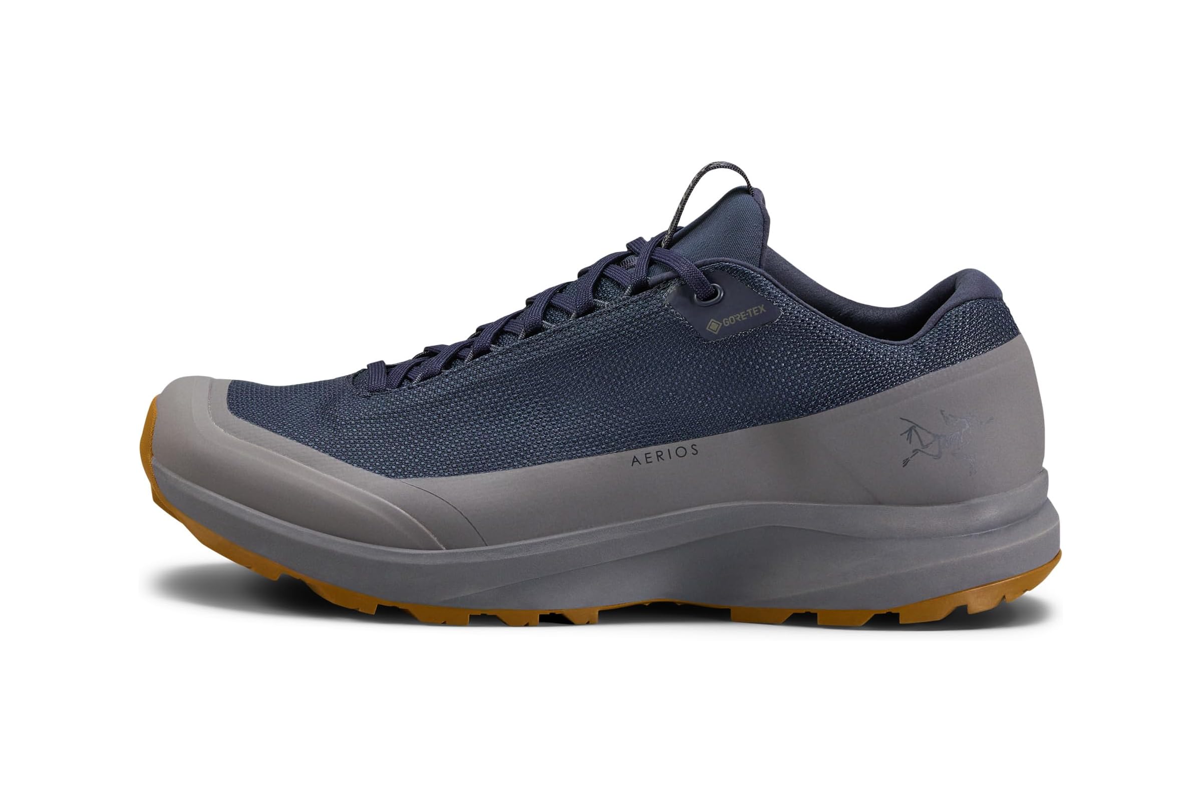 Мужские кроссовки Arcteryx Aerios FL 2 GTX