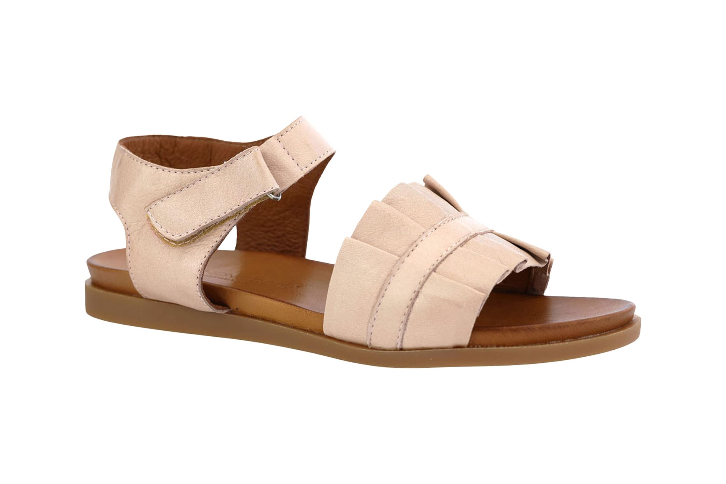 Unity in Diversity Diona53