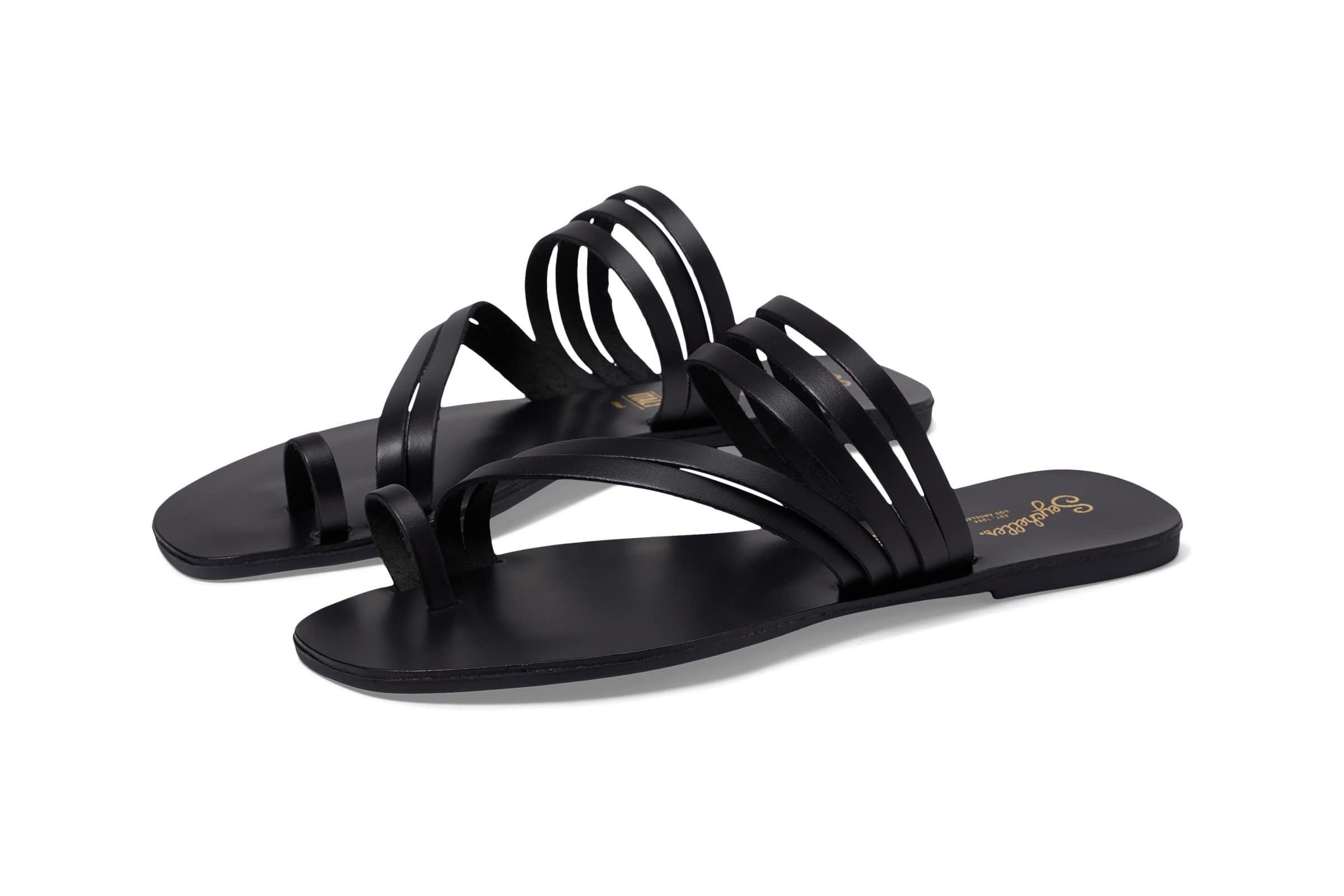 Seychelles Summer Rain