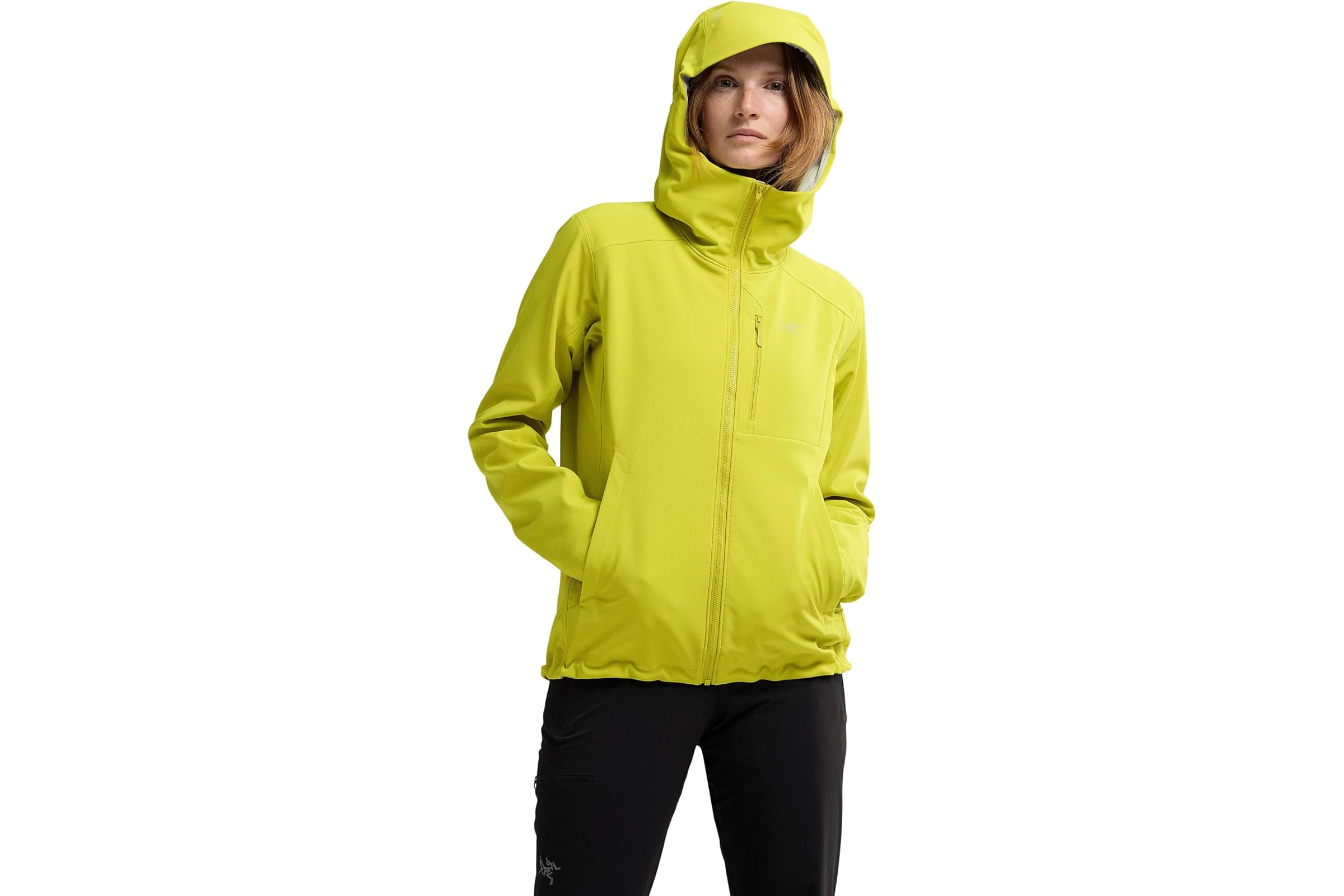 Arcteryx Gamma Heavyweight Hoody 69990₽