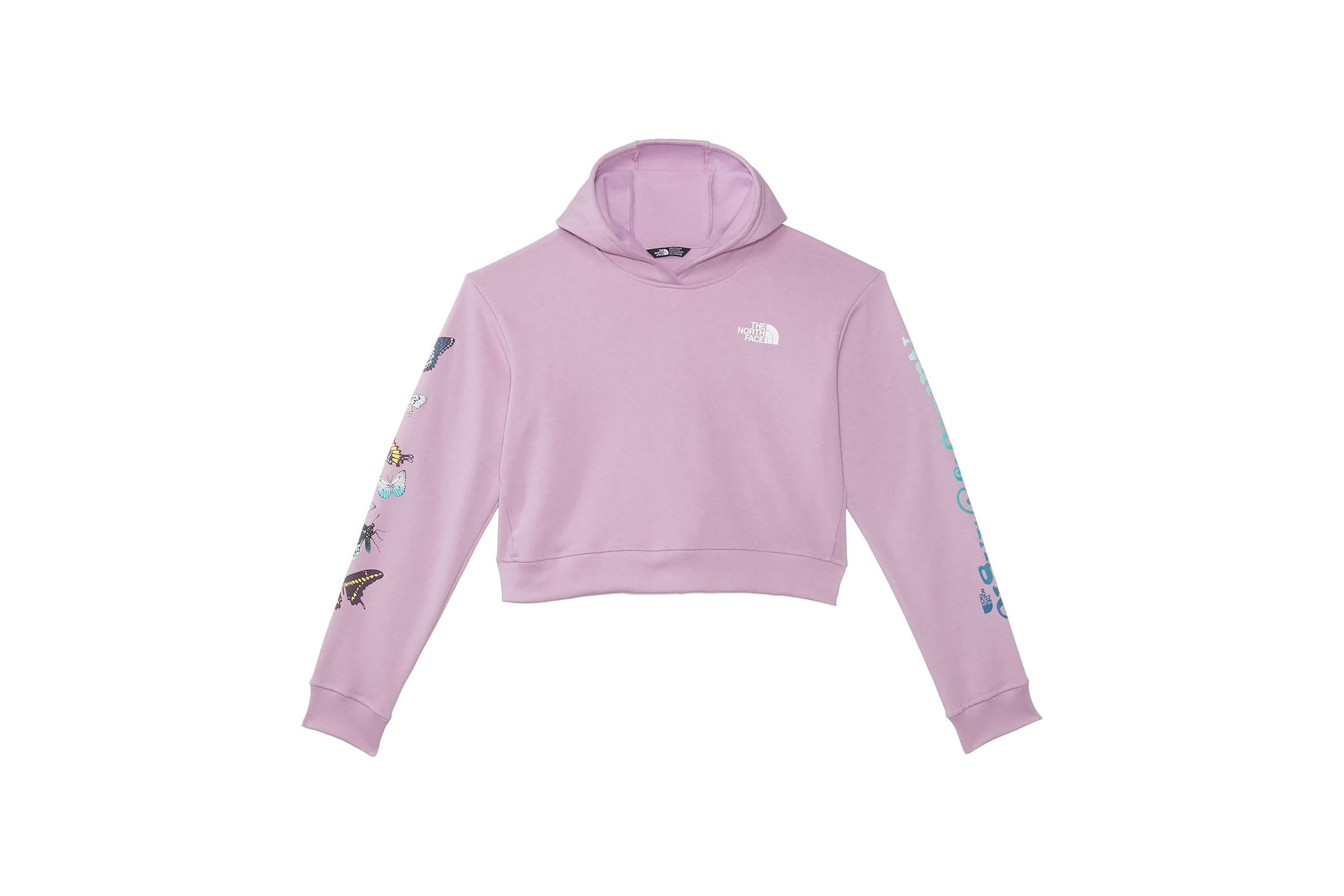 The North Face Kids Camp Fleece Pullover Hoodie Little KidsBig Kids 8990₽