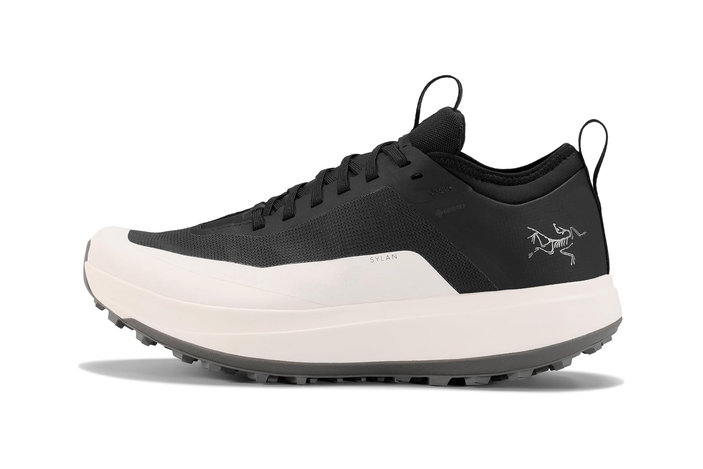 Мужские кроссовки Arcteryx Sylan GTX