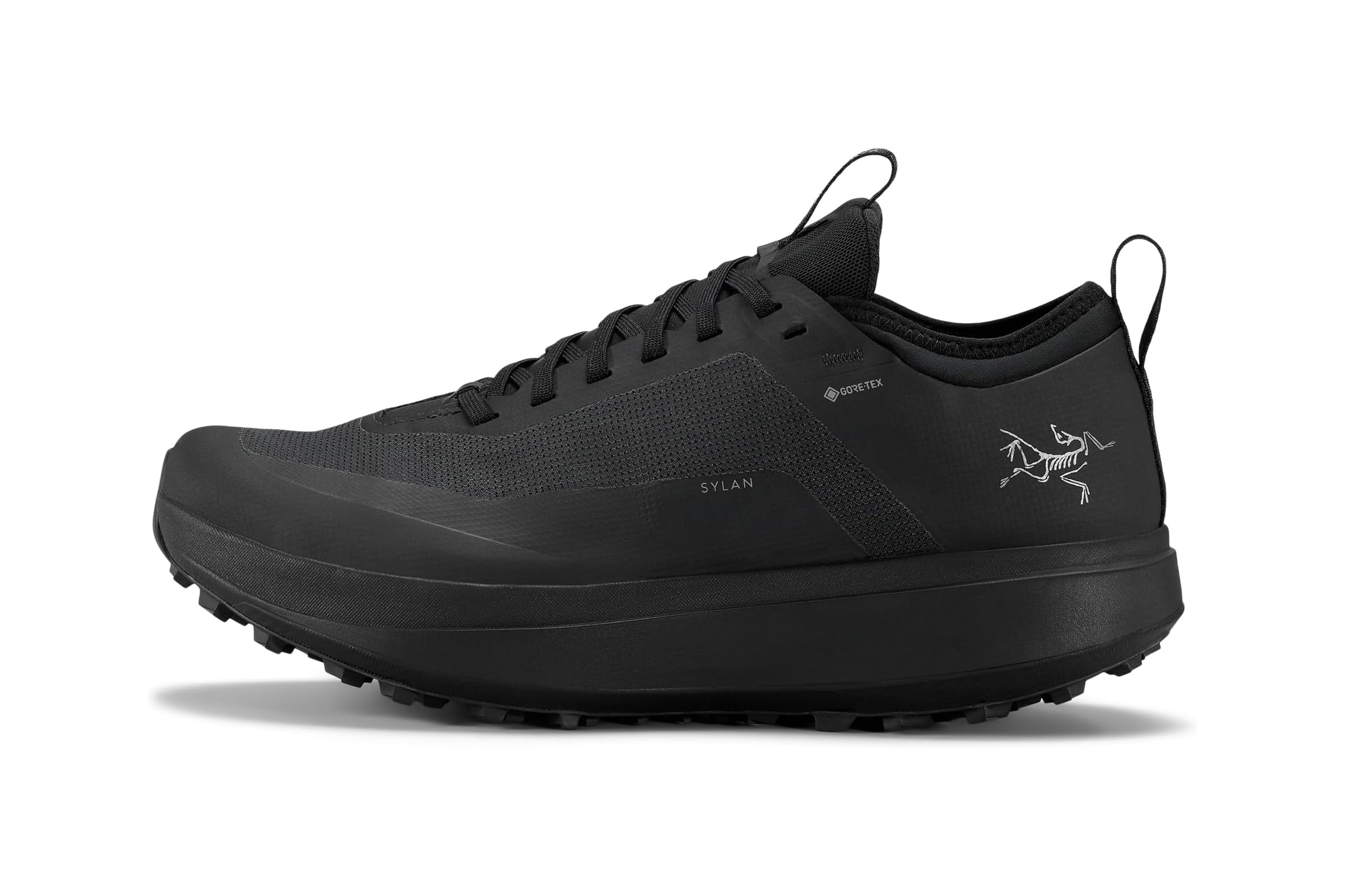 Мужские кроссовки Arcteryx Sylan GTX
