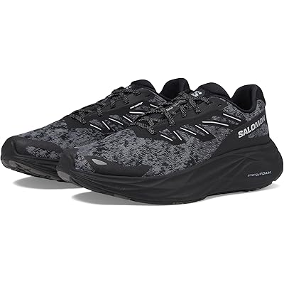 Мужские кроссовки Salomon Aero Glide 2
