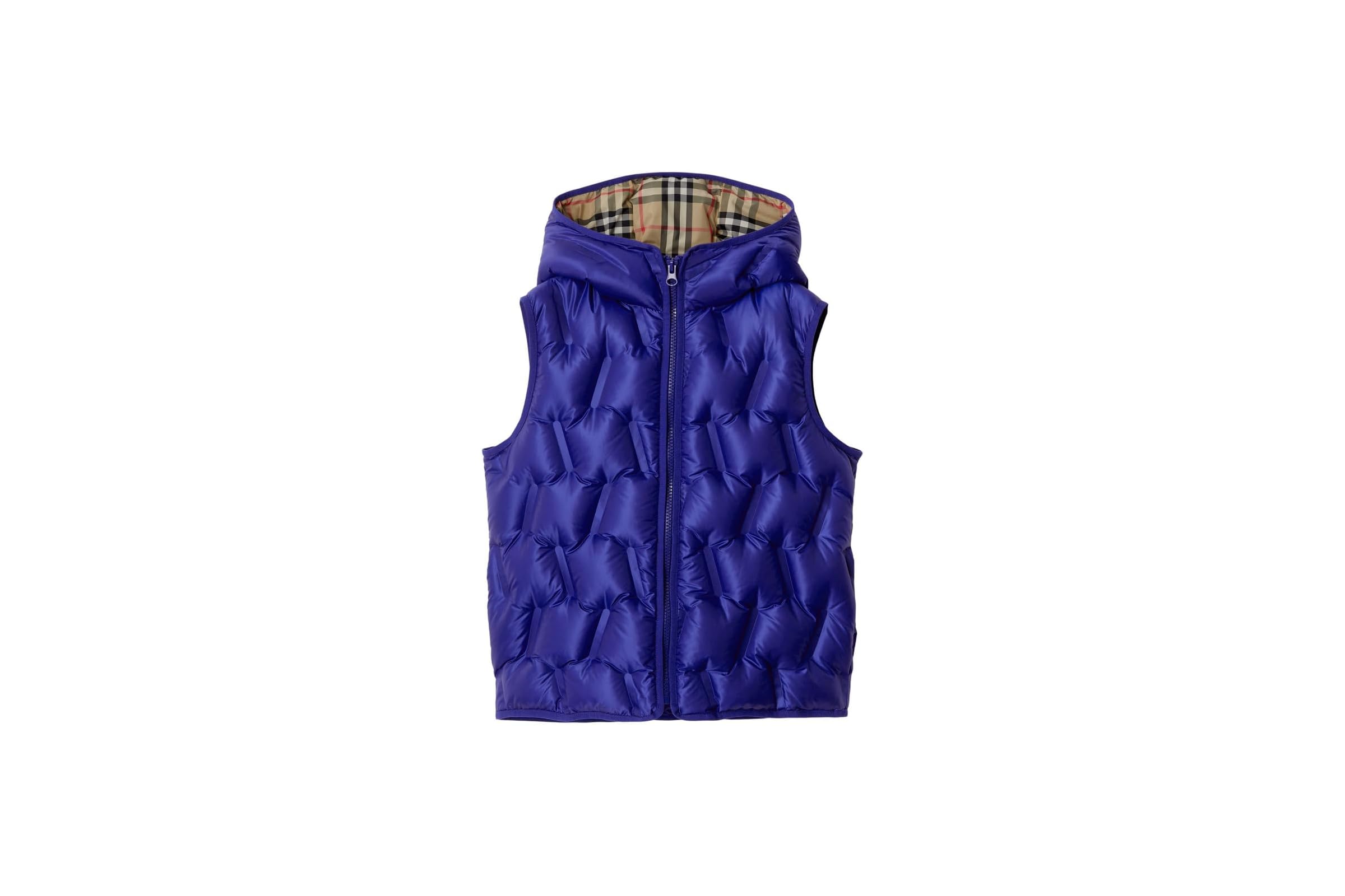 Burberry Kids Noah Gilet ToddlerLittle KidBig Kid 51290₽