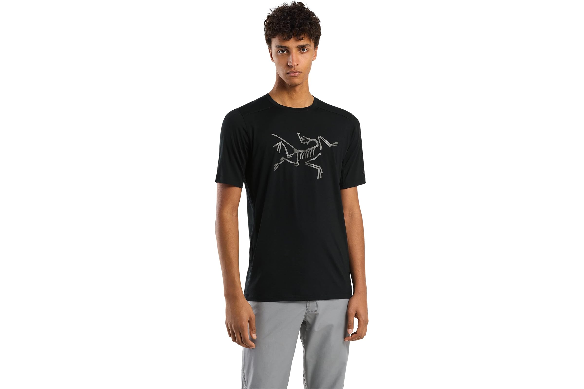 Arcteryx Ionia Merino Wool Logo