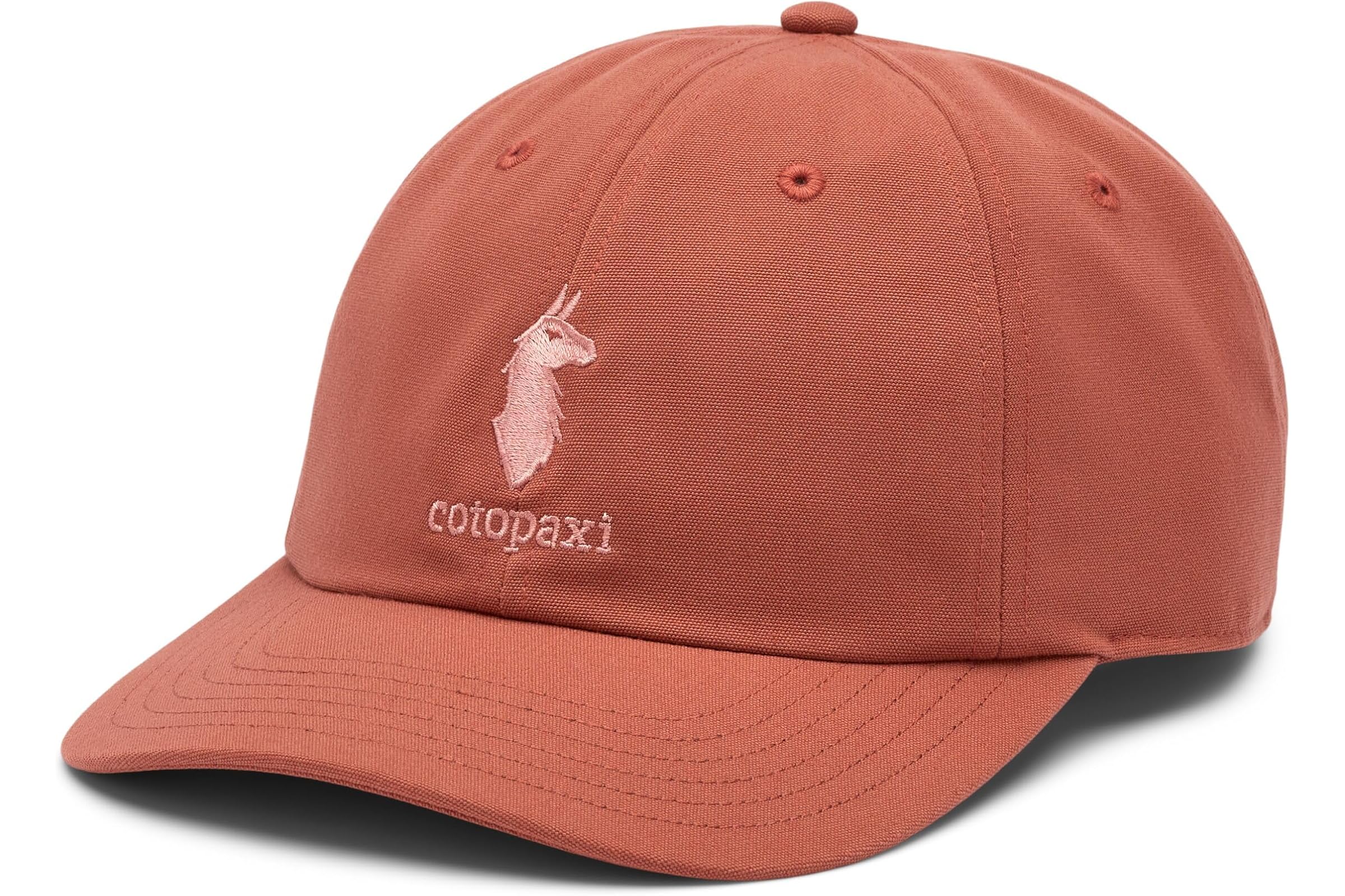 Cotopaxi Dad Hat
