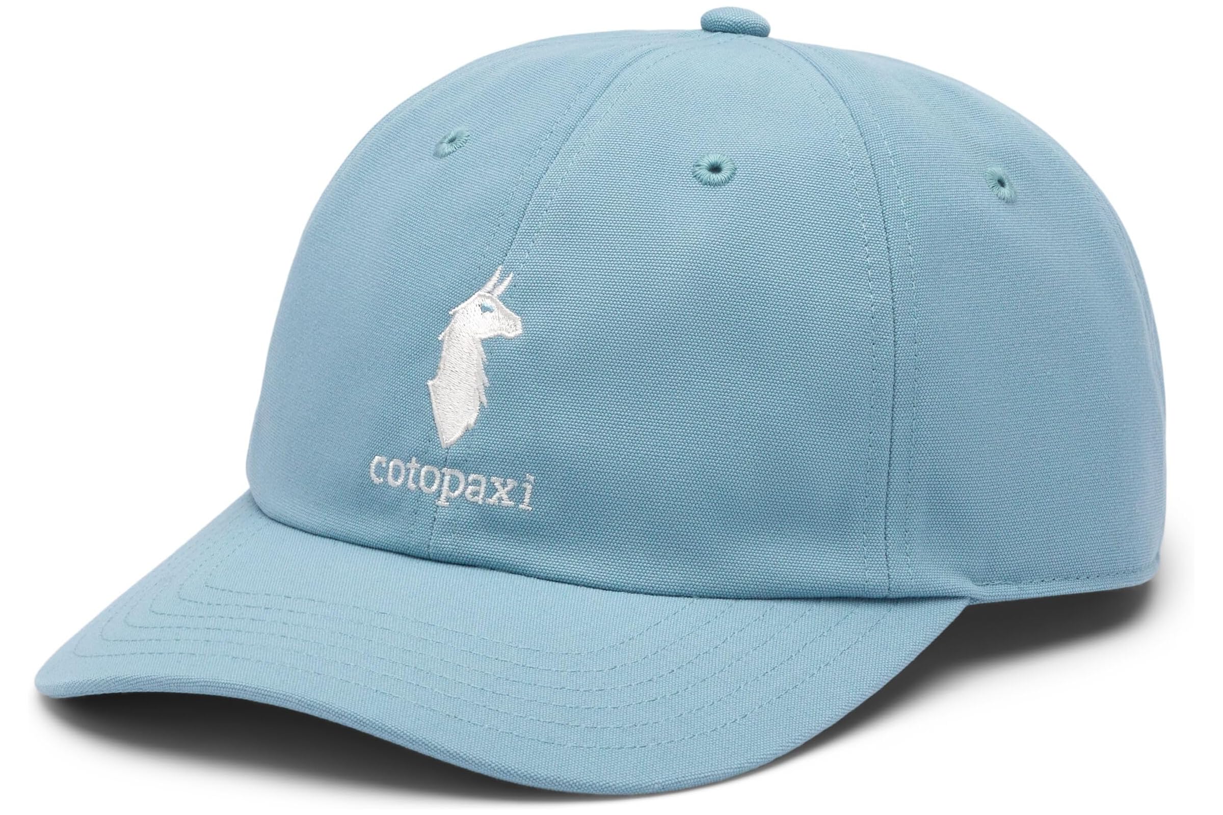 Cotopaxi Dad Hat 4390₽