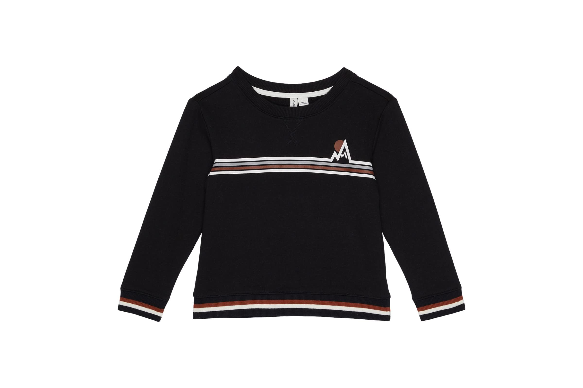Мужская толстовка Janie and Jack Graphic Pullover Sweatshirt ToddlerLittle KidsBig Kids 3890₽