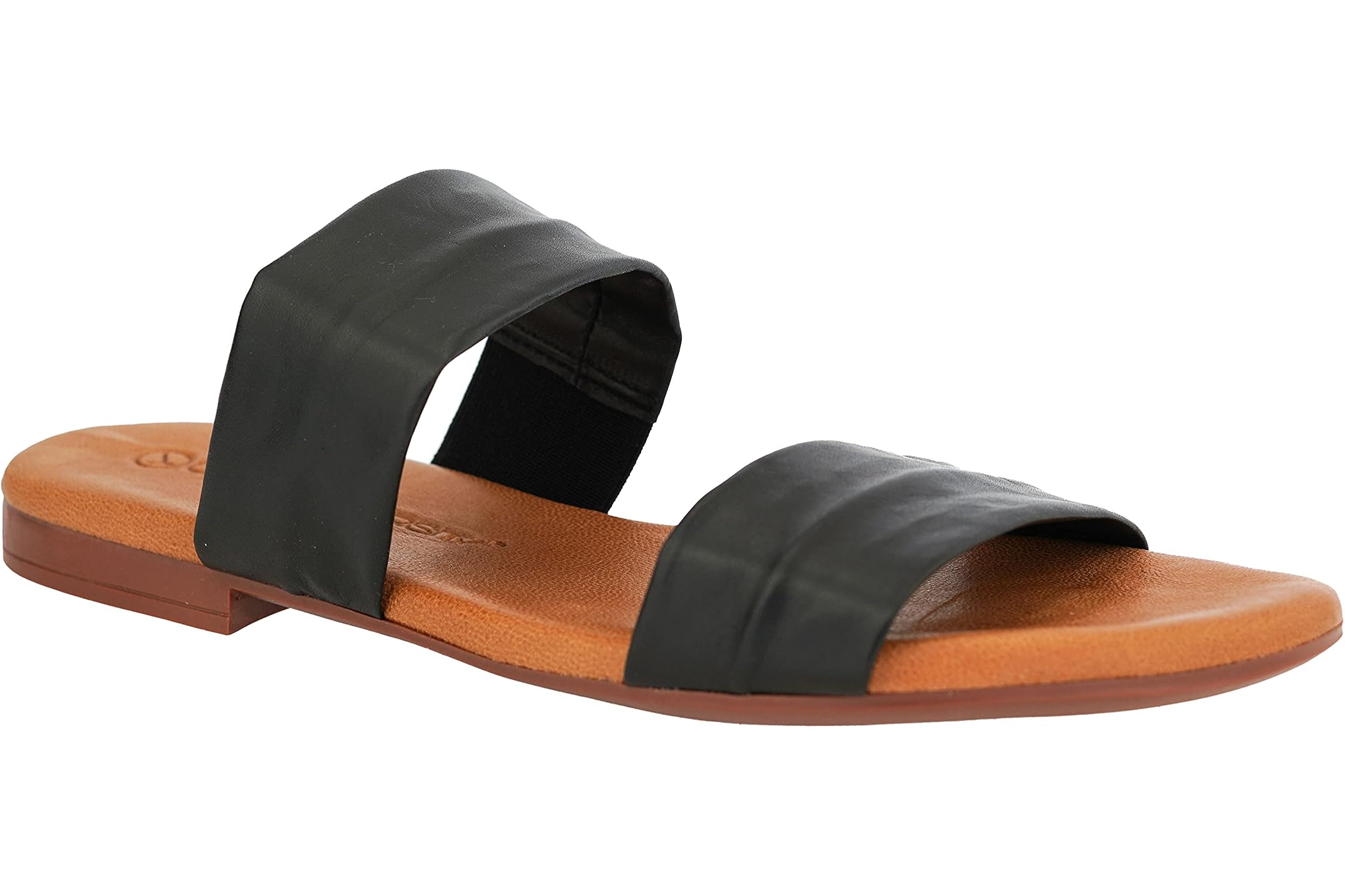 Unity in Diversity Aguanis