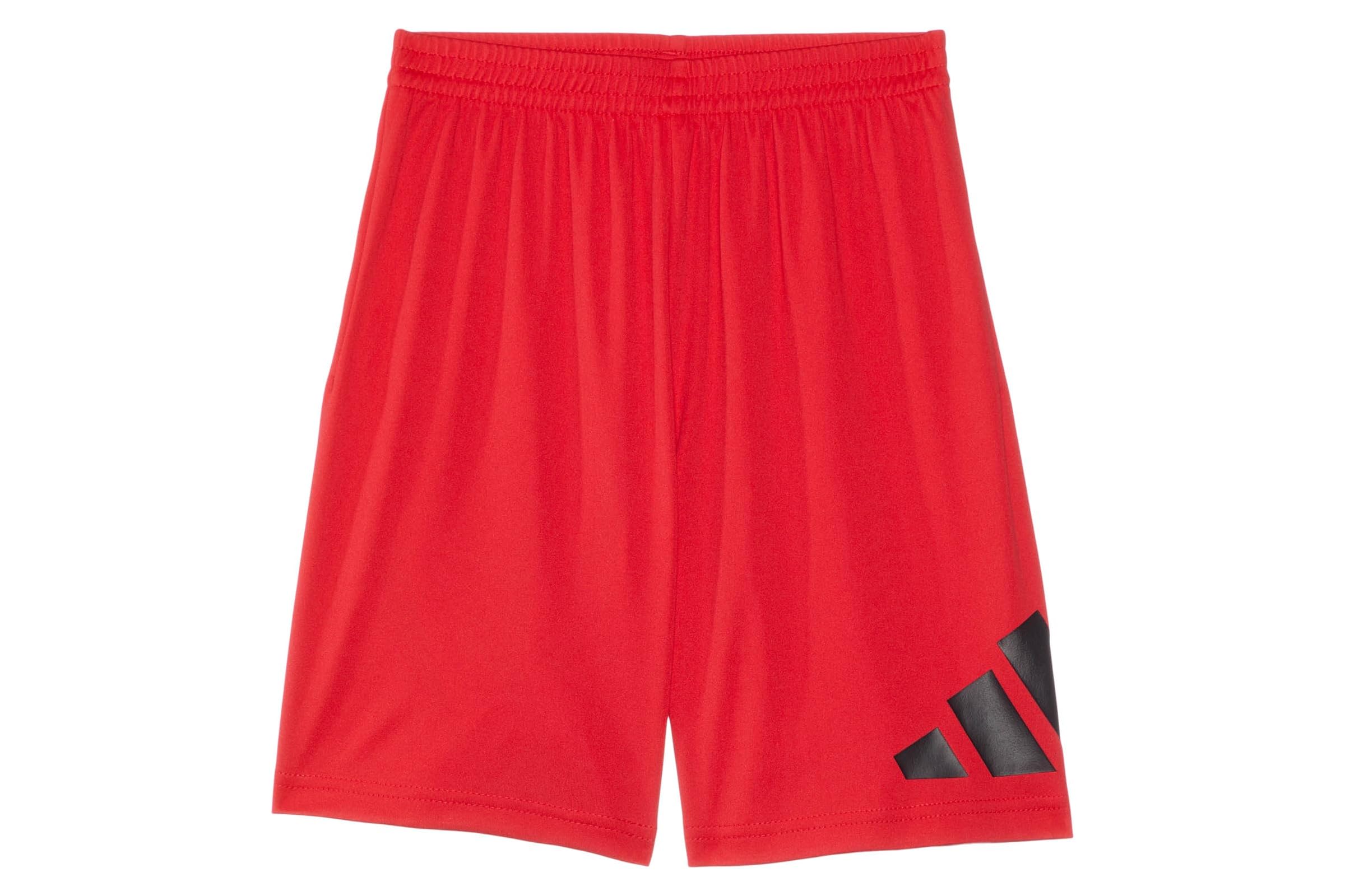 Шорты adidas Kids Essentials Big Logo Shorts ToddlerLittle Kids 2090₽